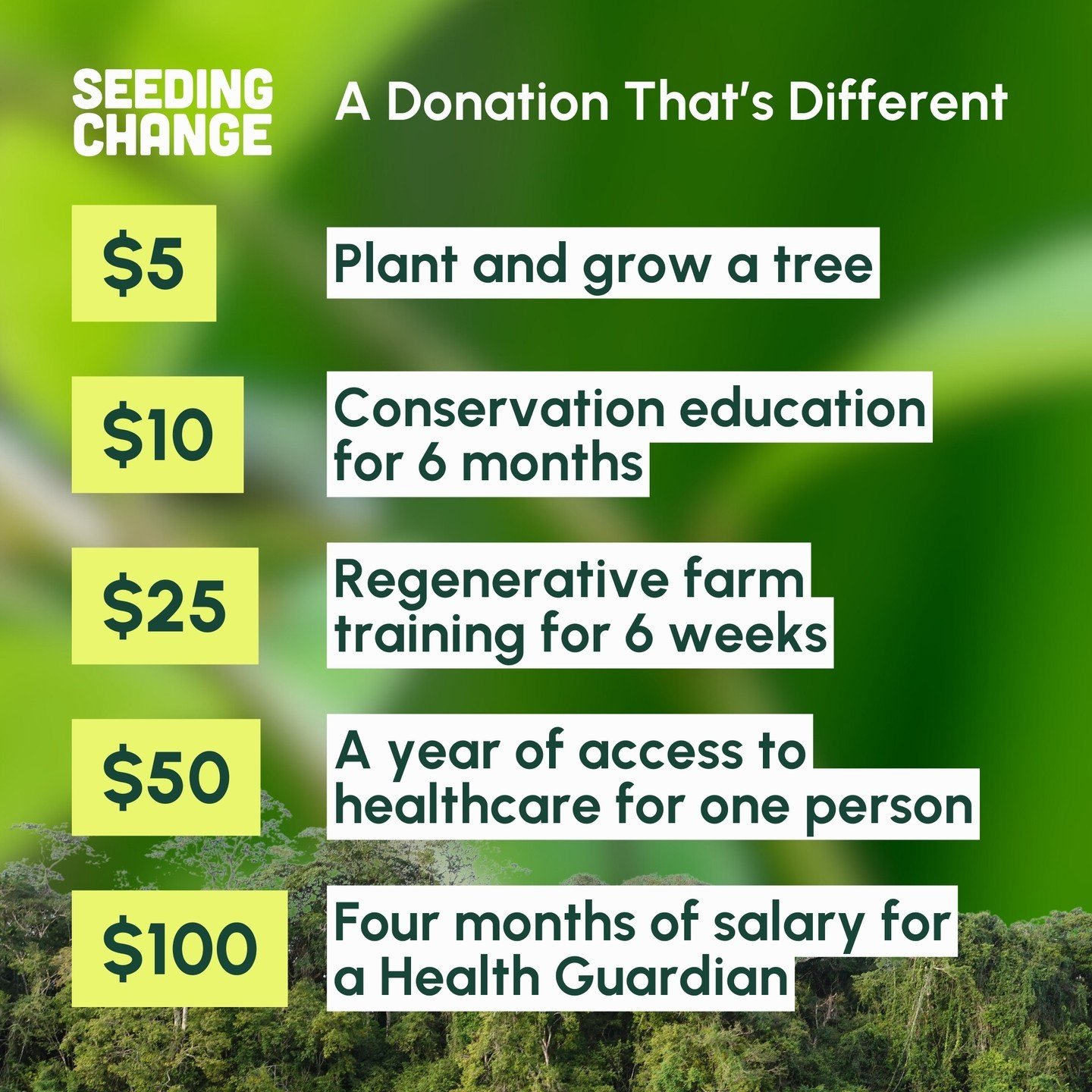 Make a donation today from just $5 upwards in order to directly support the health of rainforest communities.

A gift to the health of forest guardians is a pledge to the future of the planet 💚

#DonationThatsDifferent #RainforestCommunities #Rainfo