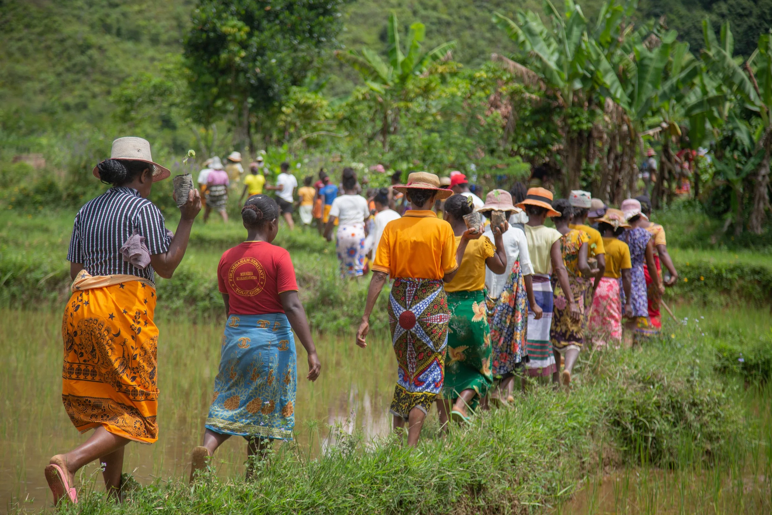 When Rainforest Communities Lead, the Planet Heals: Health In Harmony’s Three-Year Strategic Plan