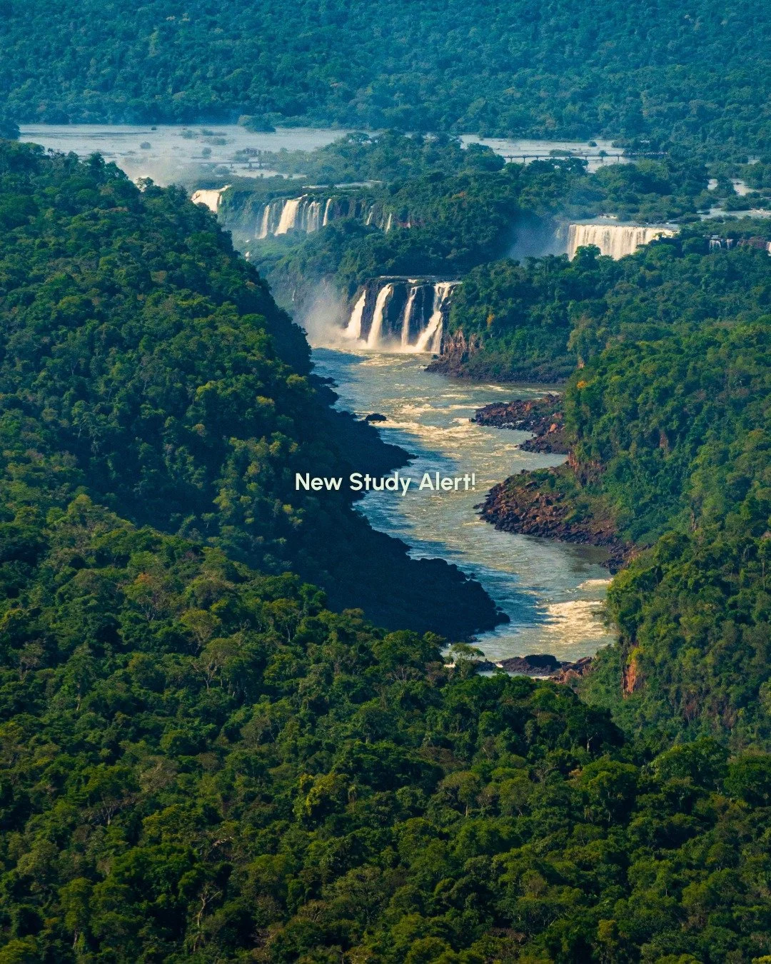 New HIH research just landed, showing the importance of consistent malaria control programs that account for landscape epidemiology in Amazonian settings. 

The research, from SAMA Health In Harmony Brazil, Stanford University, the University of Quee