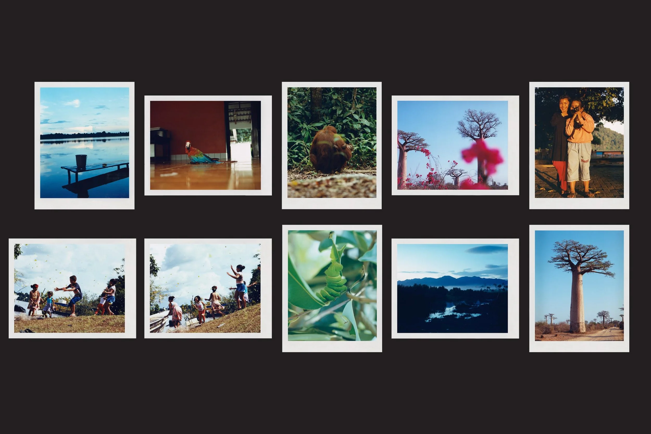 Photos from 'Record' showing nature, children, and wildlife