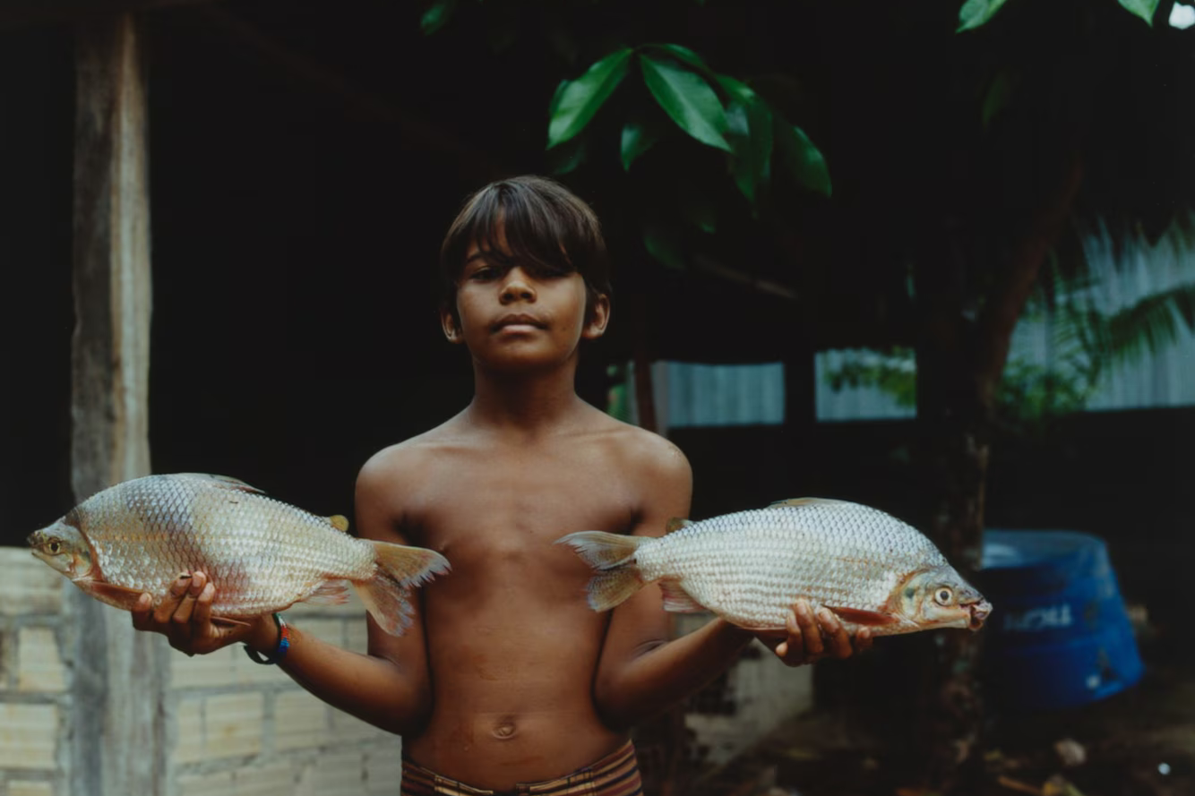 These photos show a ‘profoundly hopeful’ side to rainforest life [Read on Dazed]