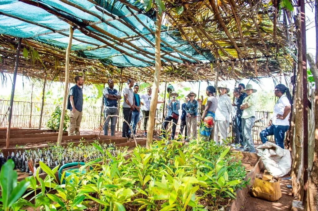 HIH Madagascar staff, donors, and HIH's partnerships team stand in a seedling nursery and talk.