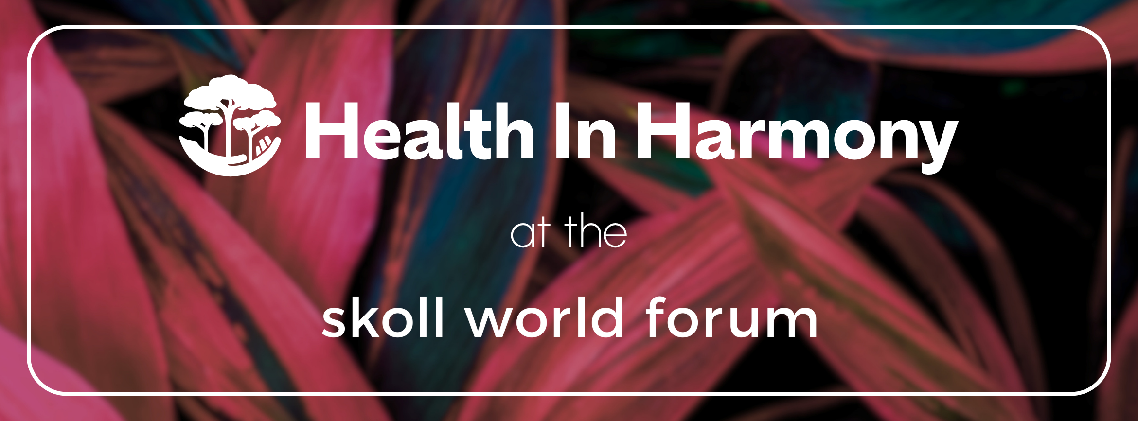 Health In Harmony at the Skoll World Forum