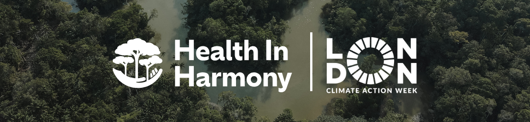 Banner: HIH at London Climate Action Week