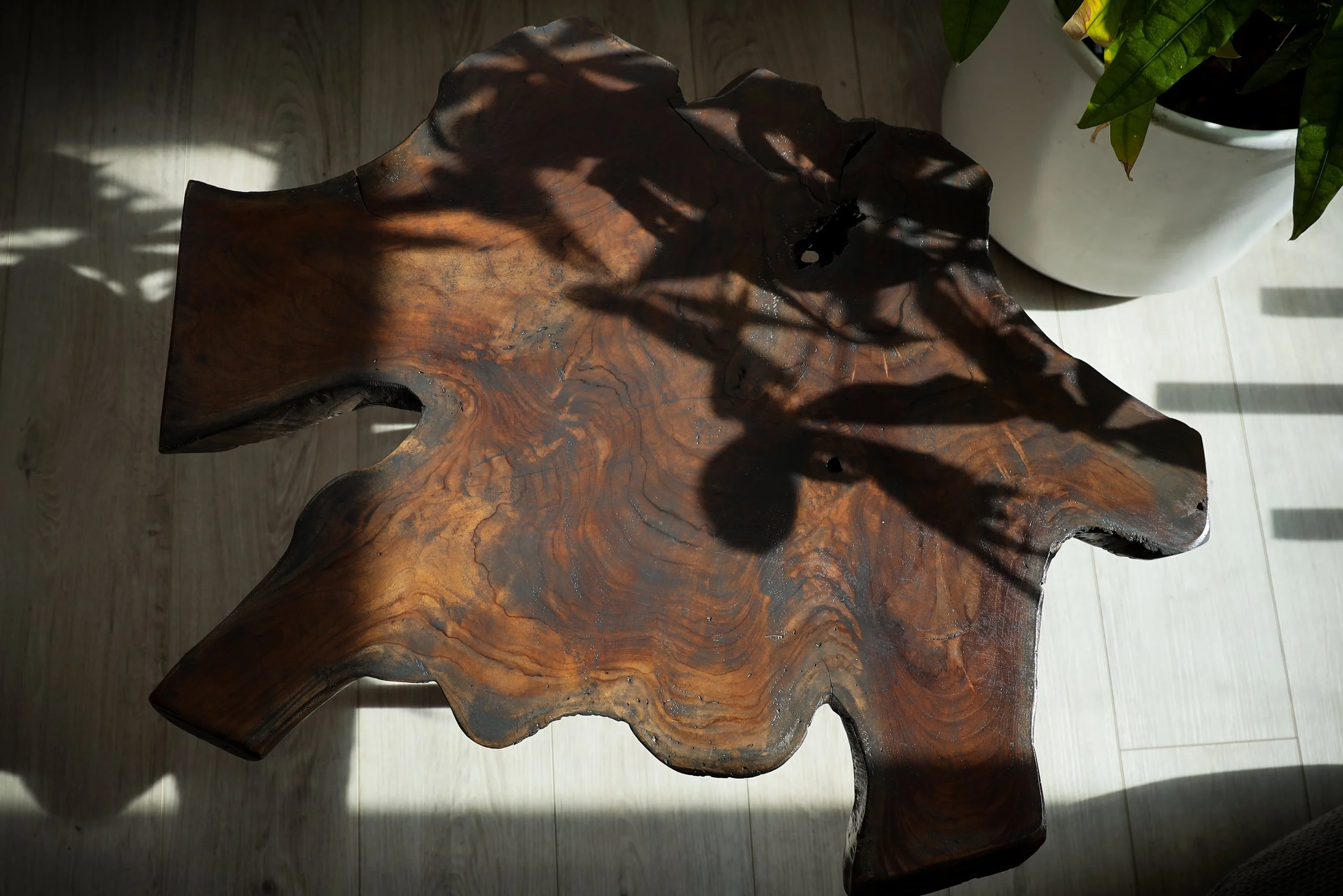 Driftwood Coffee Table: #1 — HITXMISS