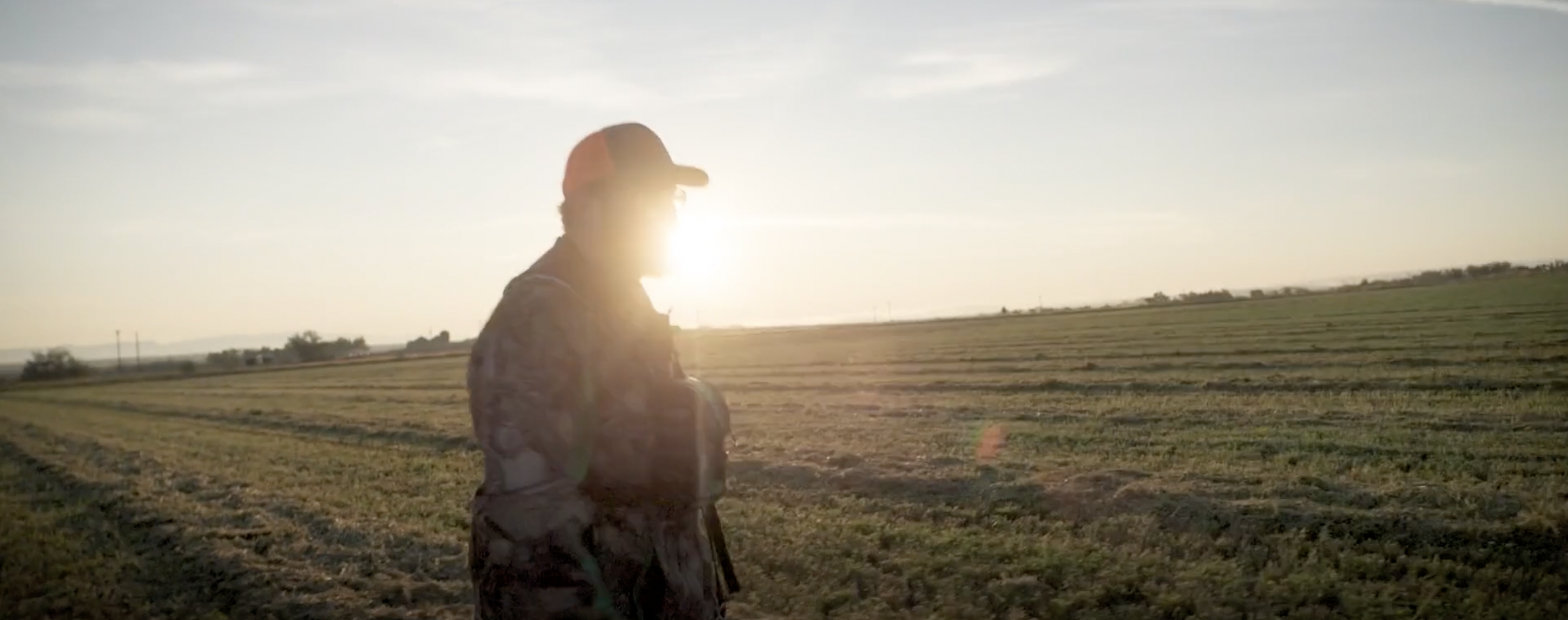 Screen Shot 2024-11-05 at 3.55.42 PM.png