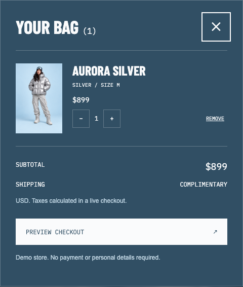 11-Bag.png