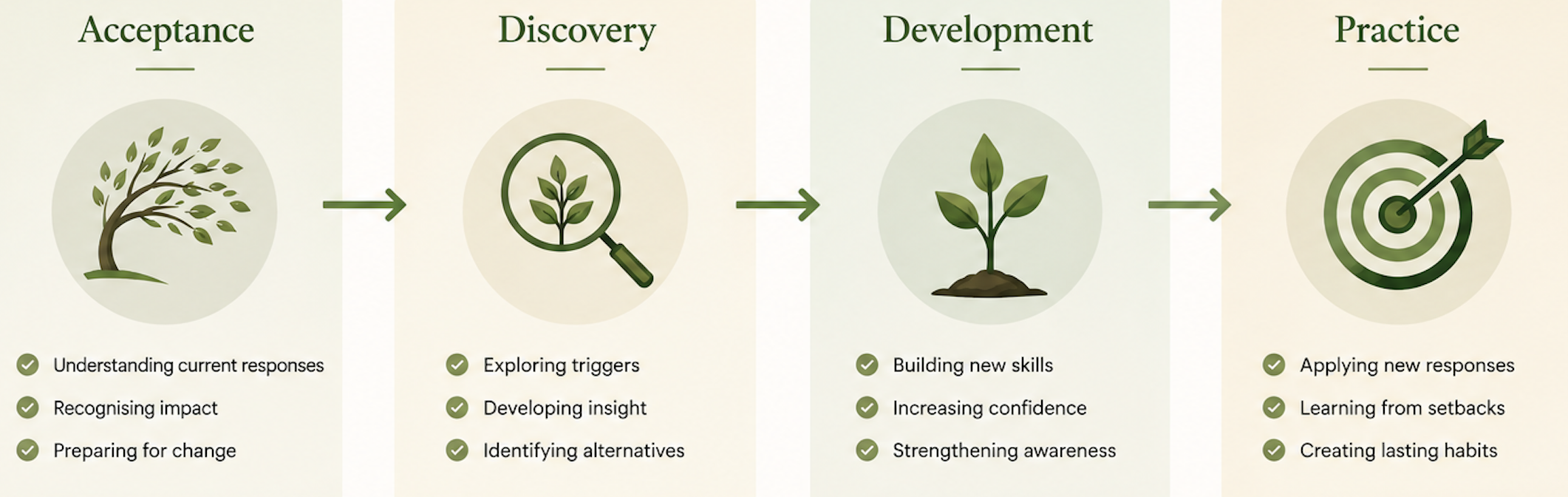 A four-step process diagram with each step represented by a plant illustration. The steps are labeled Acceptance, Discovery, Development, and Practice, with corresponding icons and checklists outlining key activities for each stage.