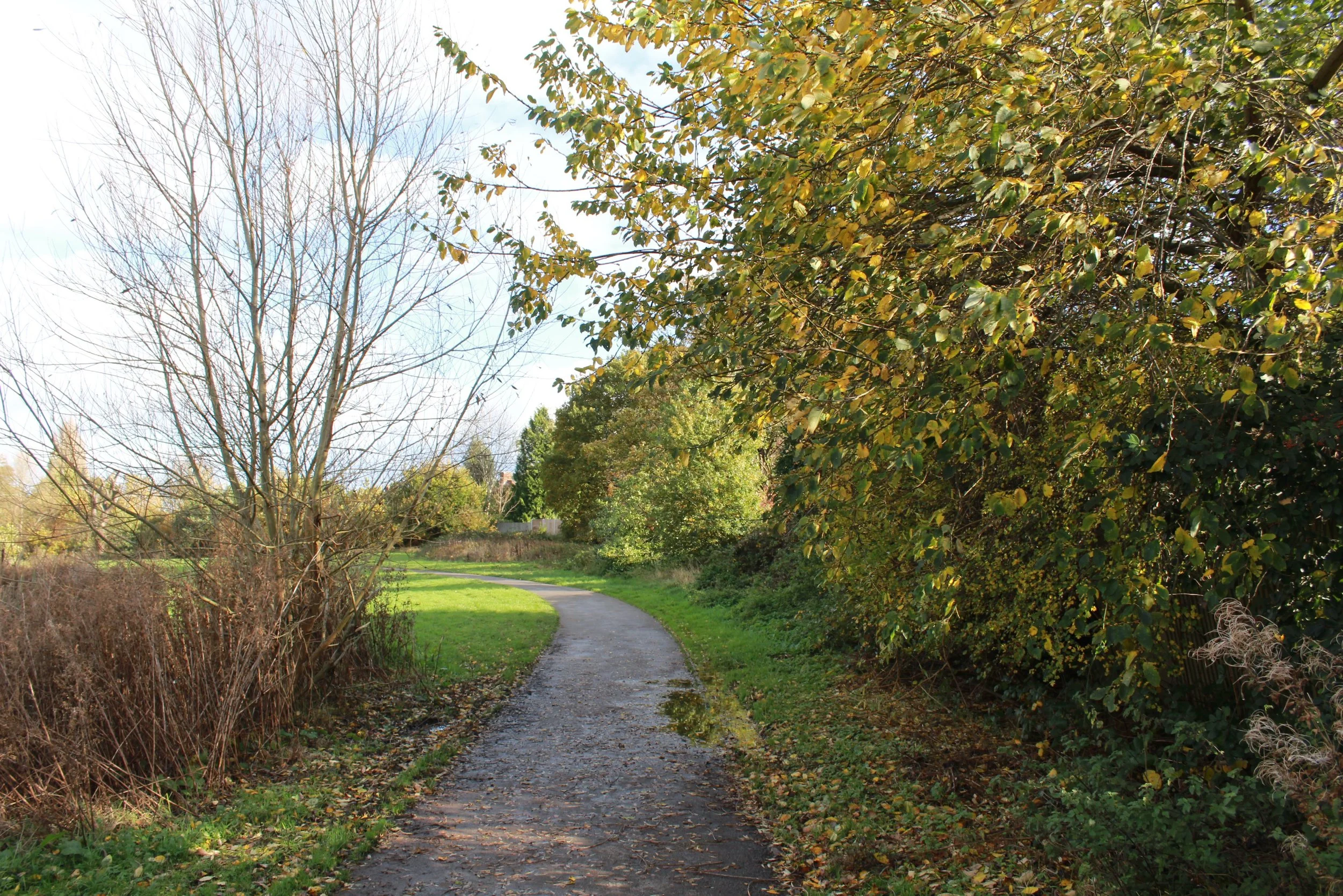 A winding gravel trail surrounded by trees and foliage, some with green leaves and some with yellowing leaves, in a park setting during early autumn.