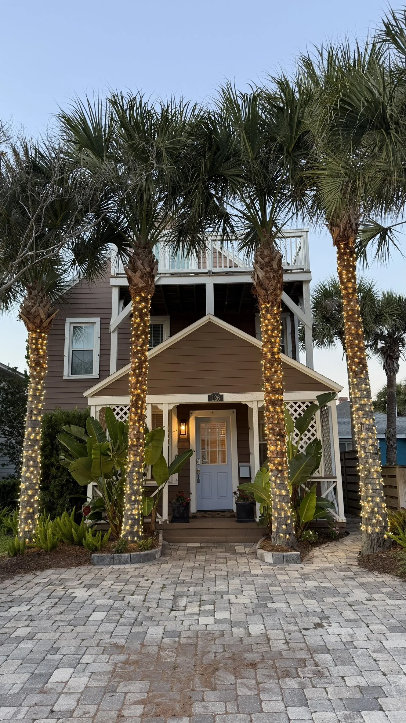 Neptune Beach Christmas Lights Palm Trees