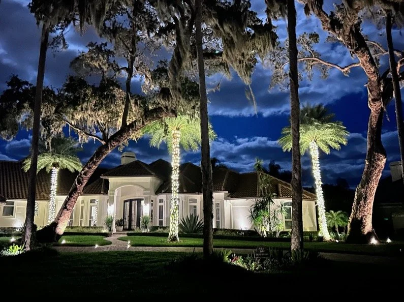 PLANTATION PALMS.JPEG