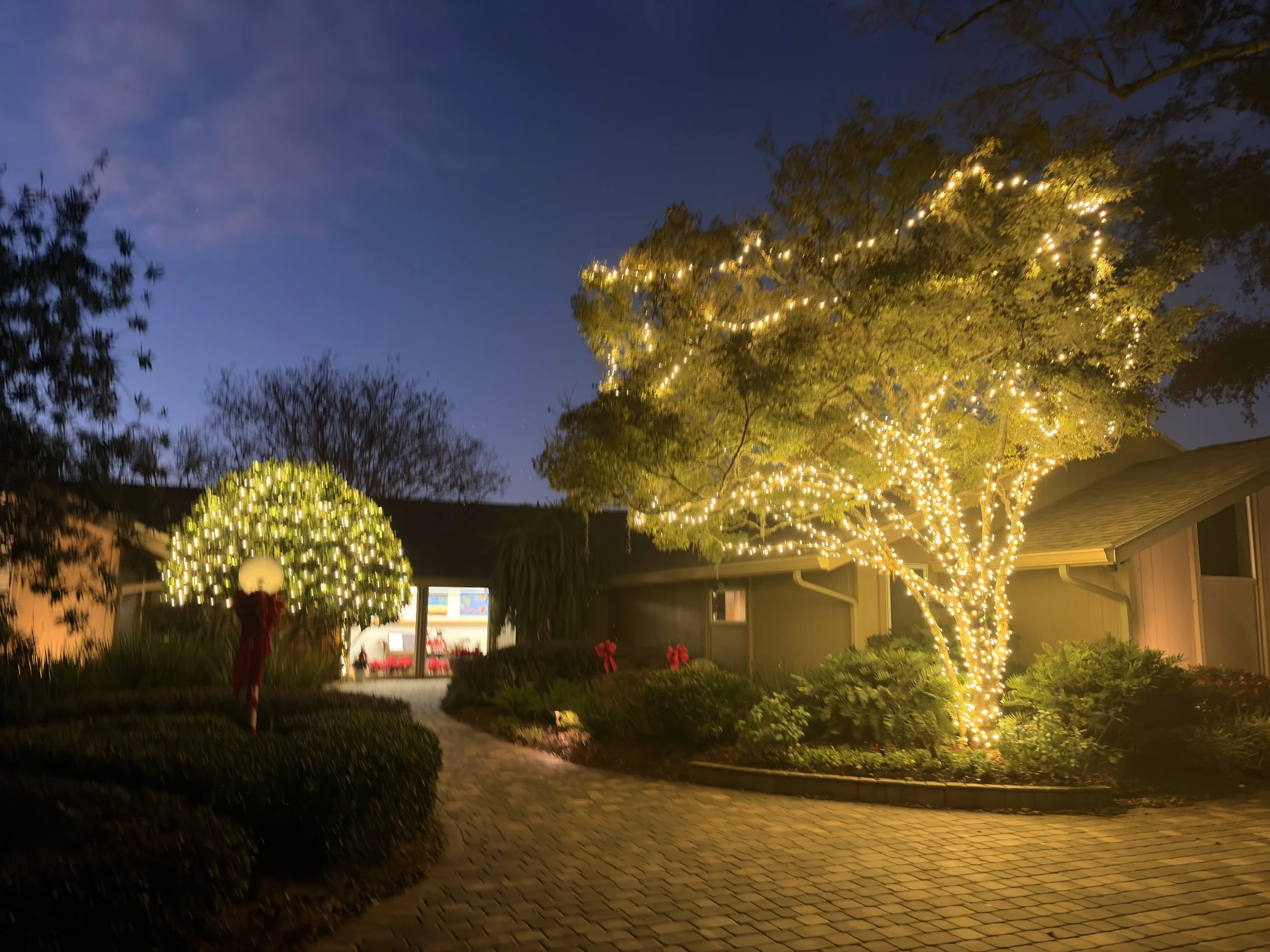 Deerwood Neighborhood Christmas Lights