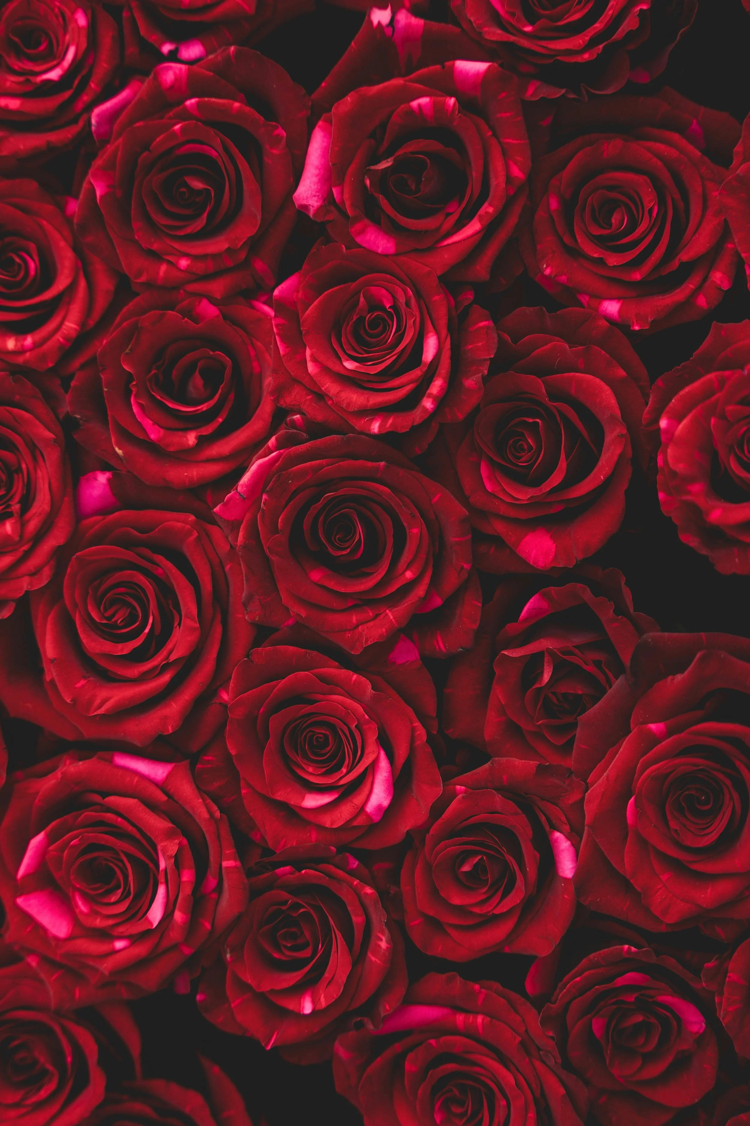 Dîner de Saint-Valentin | Vendredi 13 février 2026