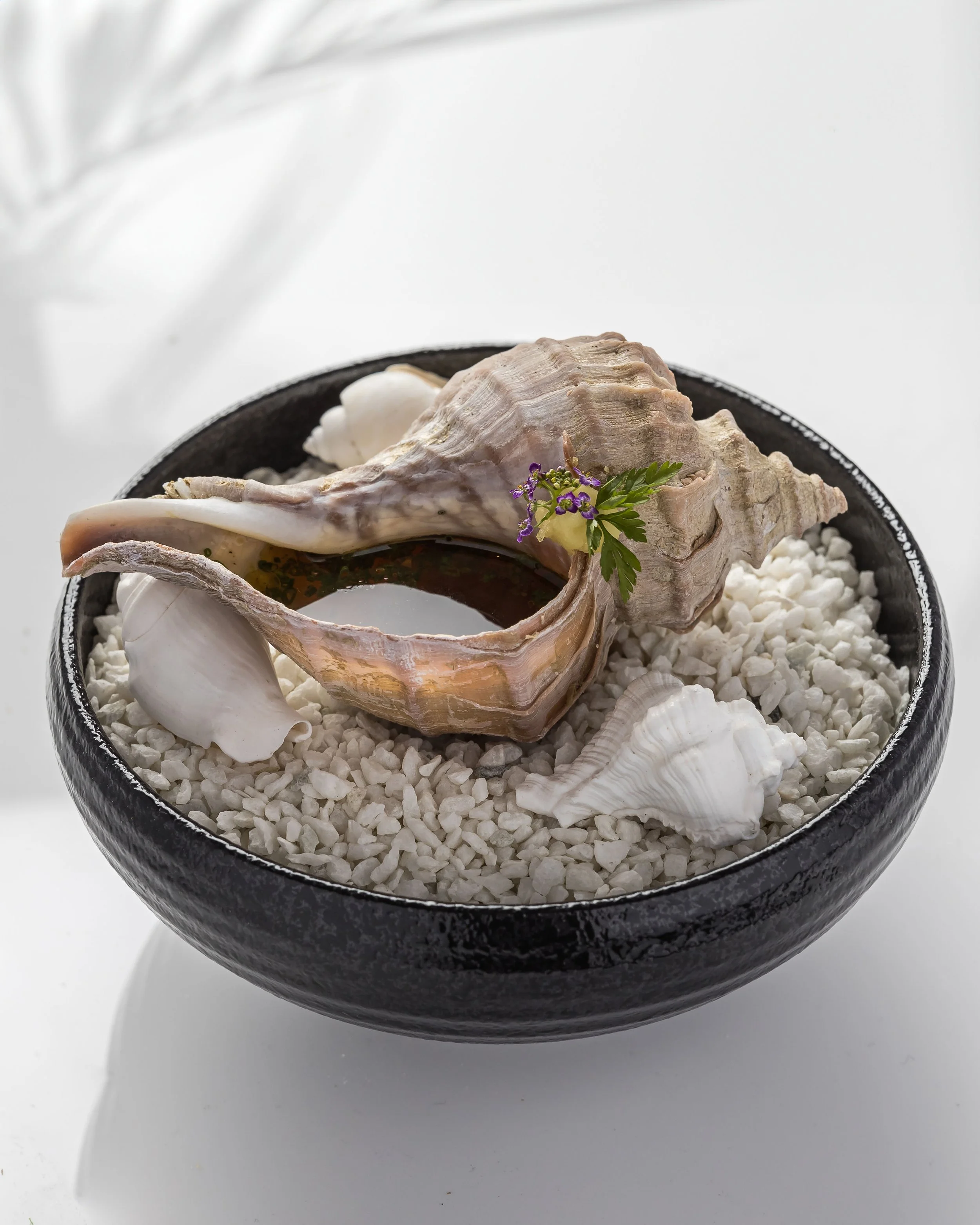 A black bowl filled with white pebbles and seashells, featuring a large conch shell containing liquid and garnished with a small purple flower and green leaf.