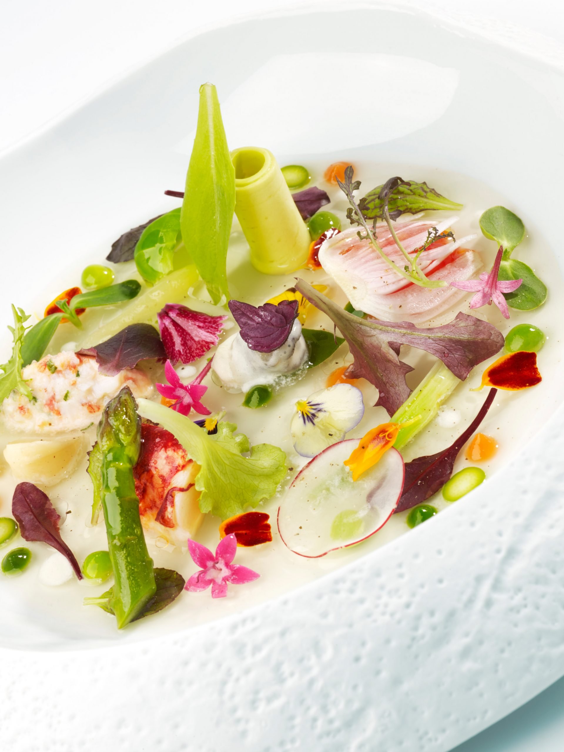Ensalada-de-verduras-y-pétalos-hierbas-brotes-con-crema-de-lechuga-y-bogavante-35963_4web-scaled.jpg
