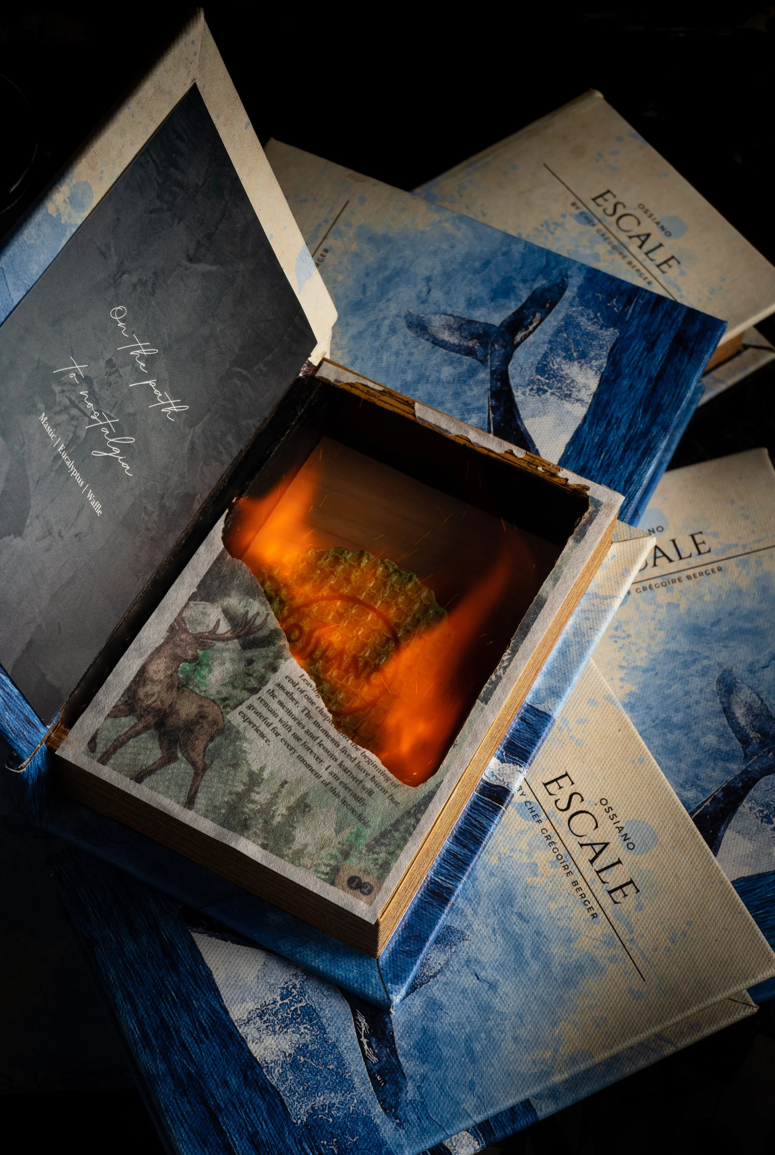 A book with an illustration of a deer and text, with a hollowed-out section containing a burning object. The book cover displays a blue whale tail illustration and the title "Escale."