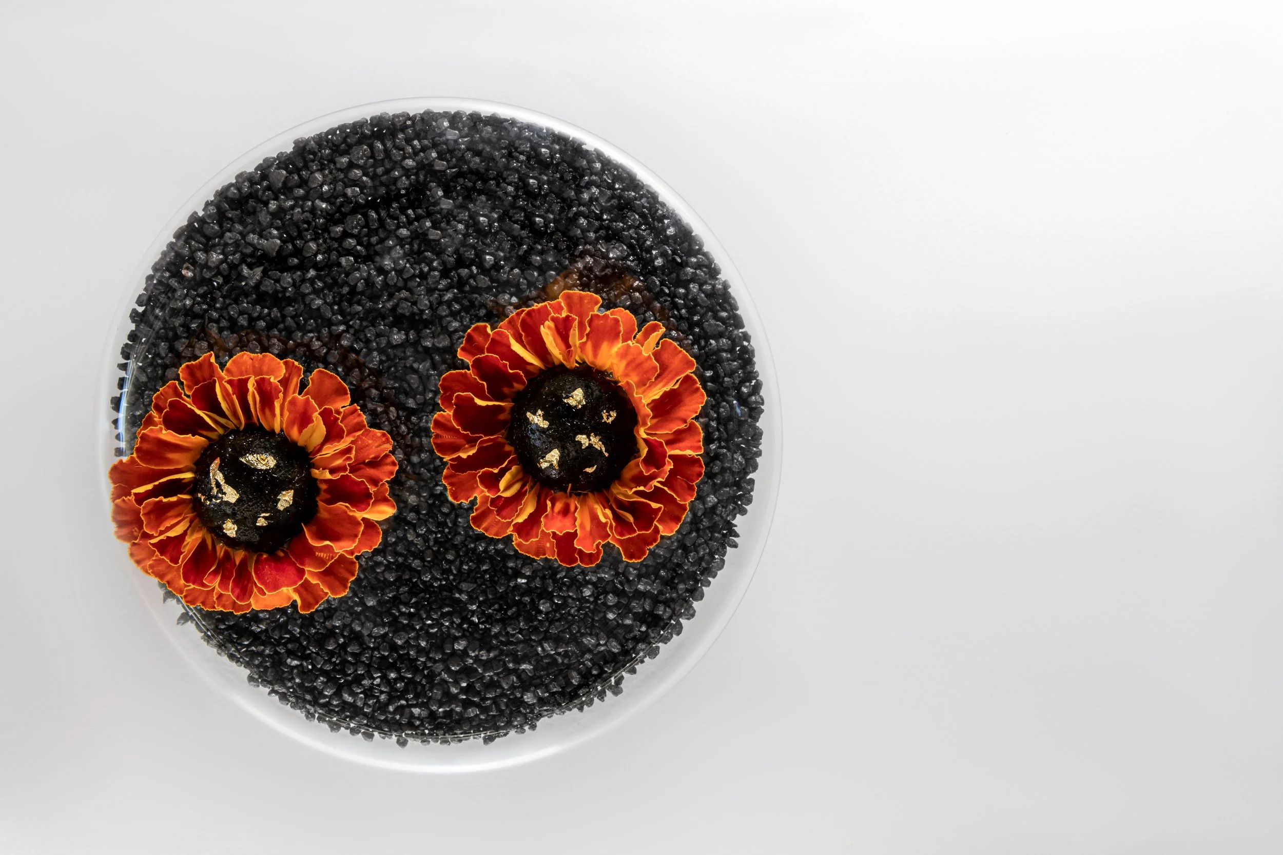 Two orange flowers with dark centers on a white surface, surrounded by small black beads.