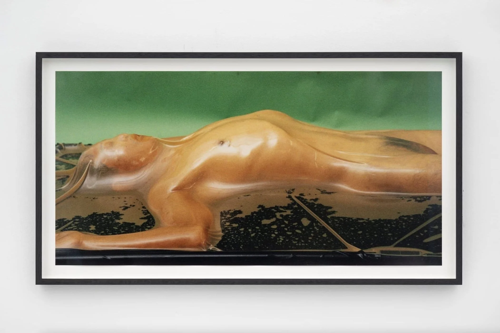 Harley Weir Opens The Garden at Hannah Barry Gallery