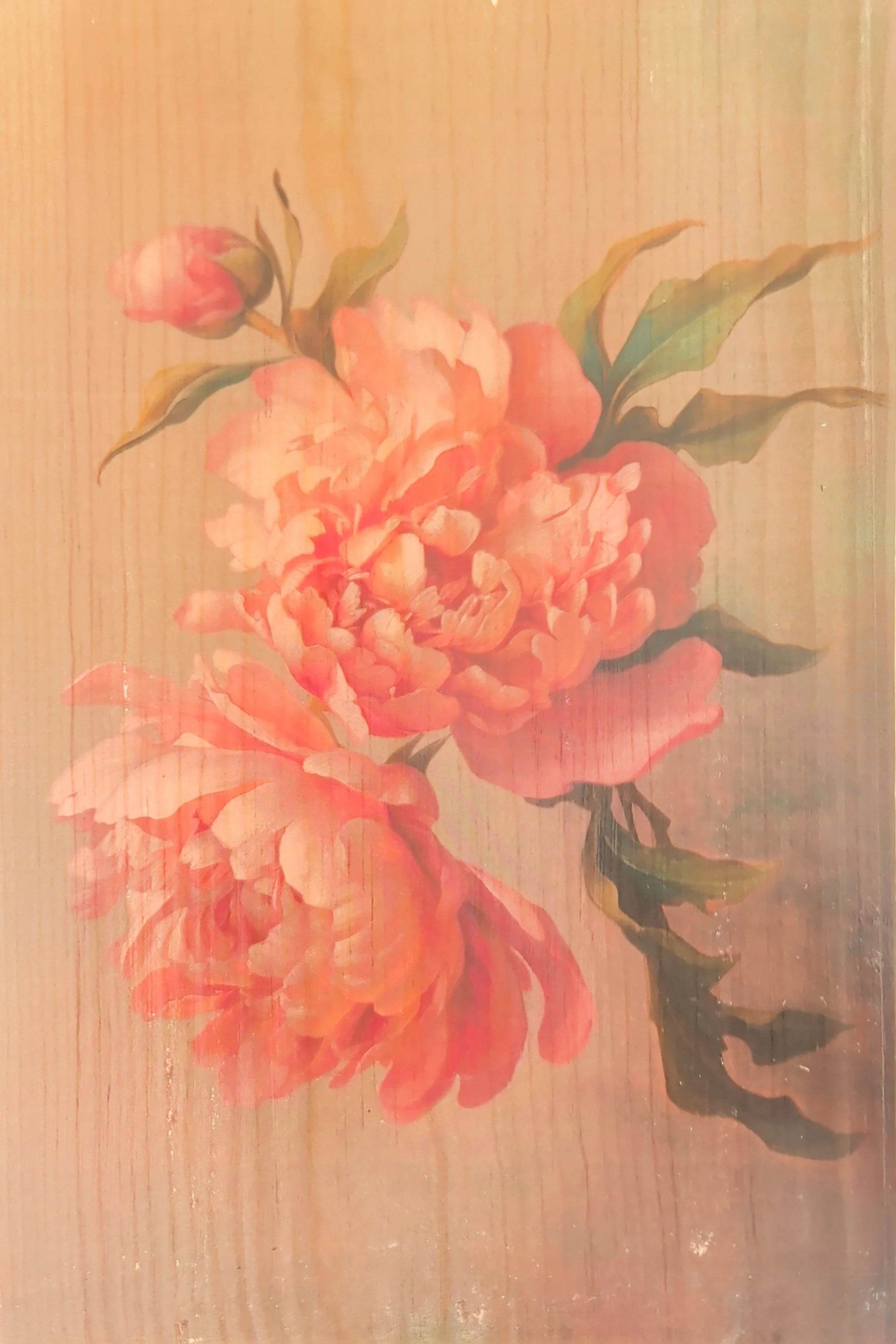 PINK PEONIES