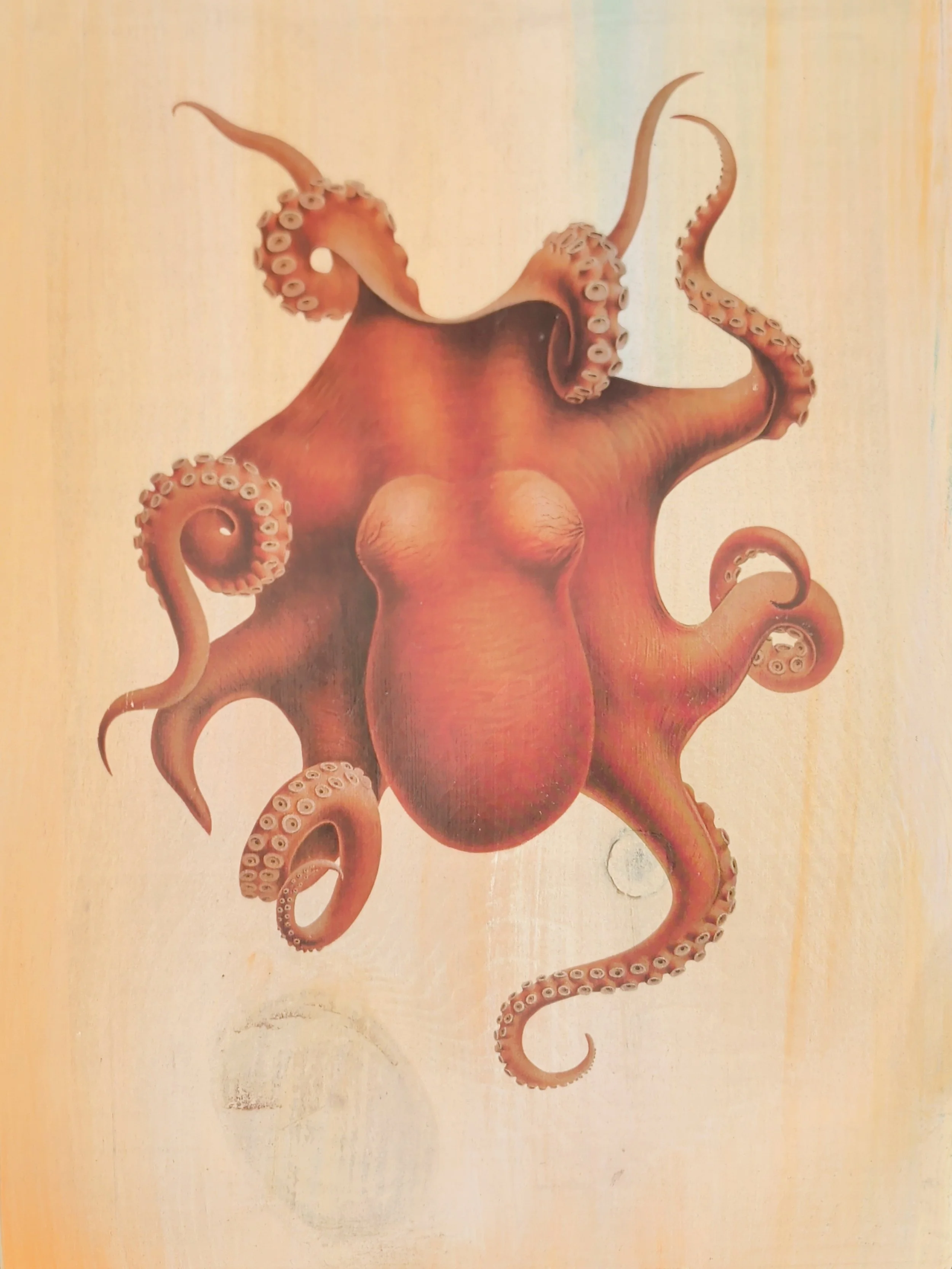 DEEP SEA