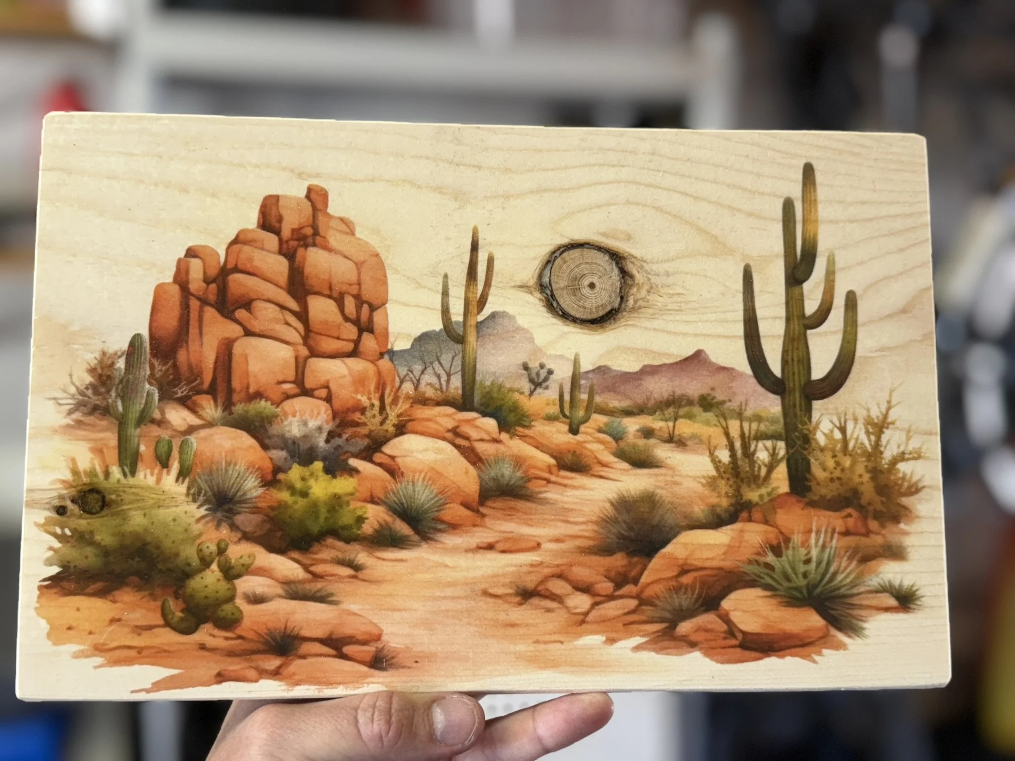 ROCKY DESERT