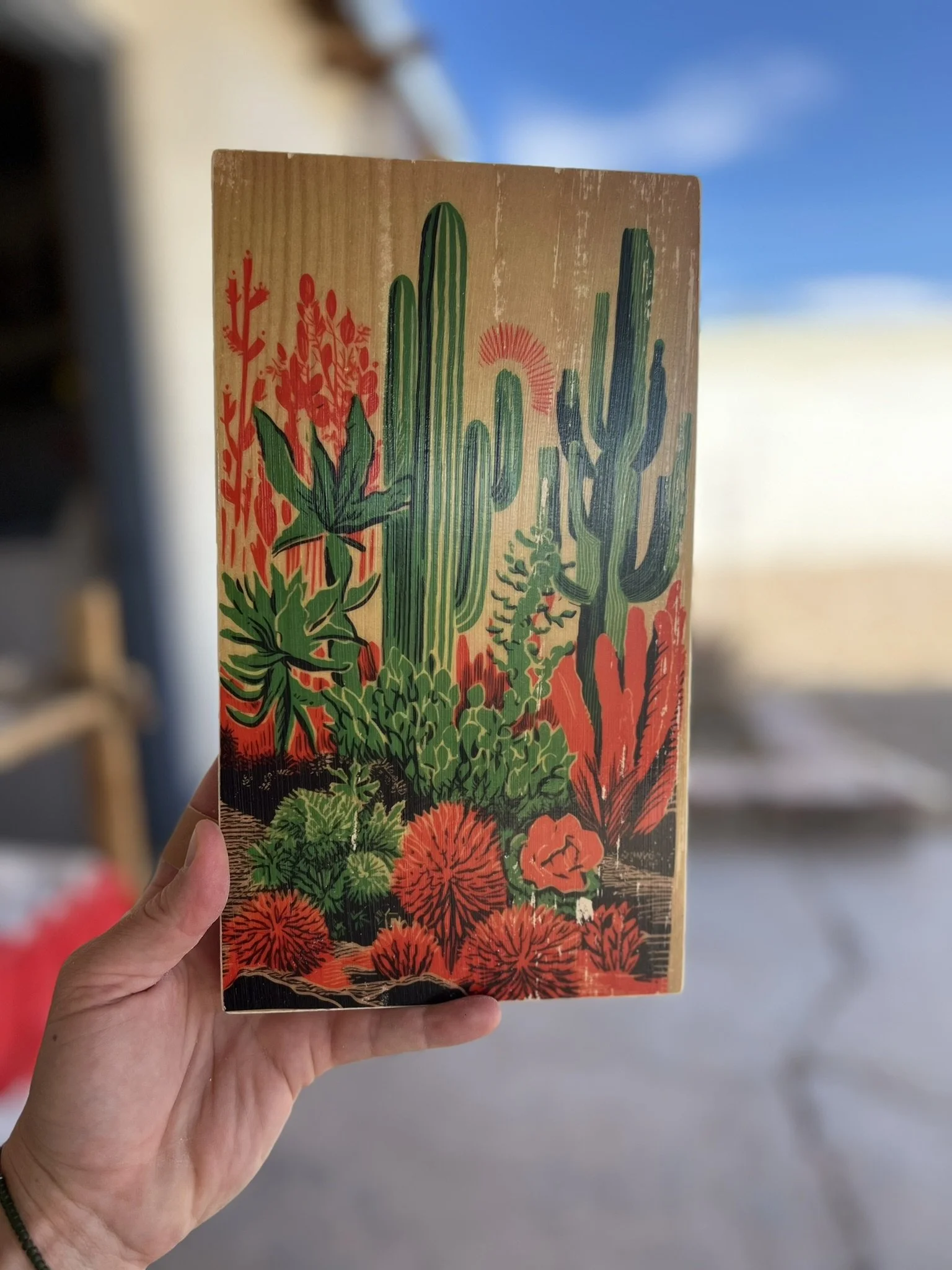 WILD DESERT