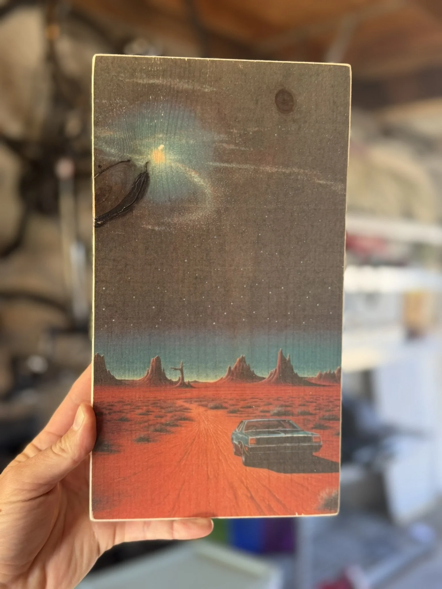 DESERT ENCOUNTER