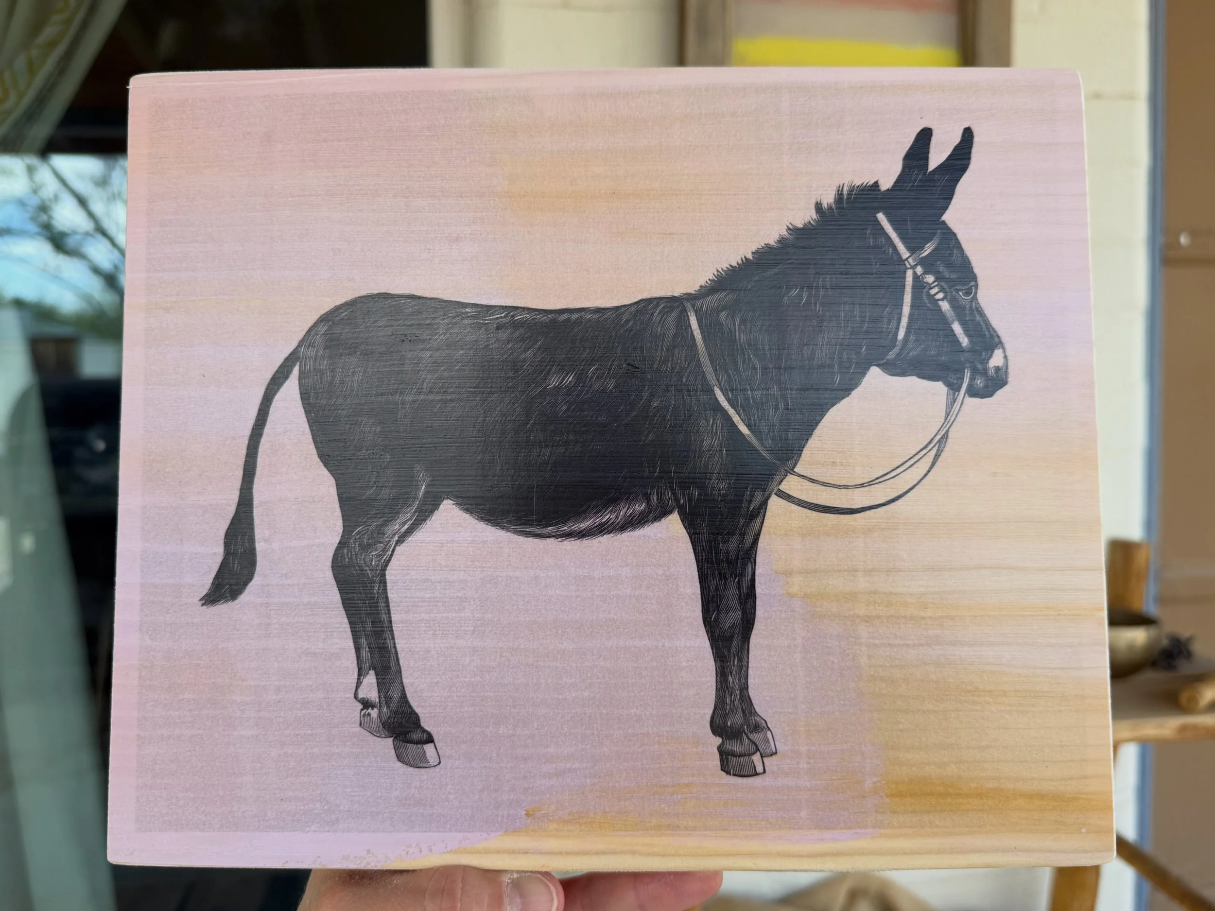 THE DONKEY