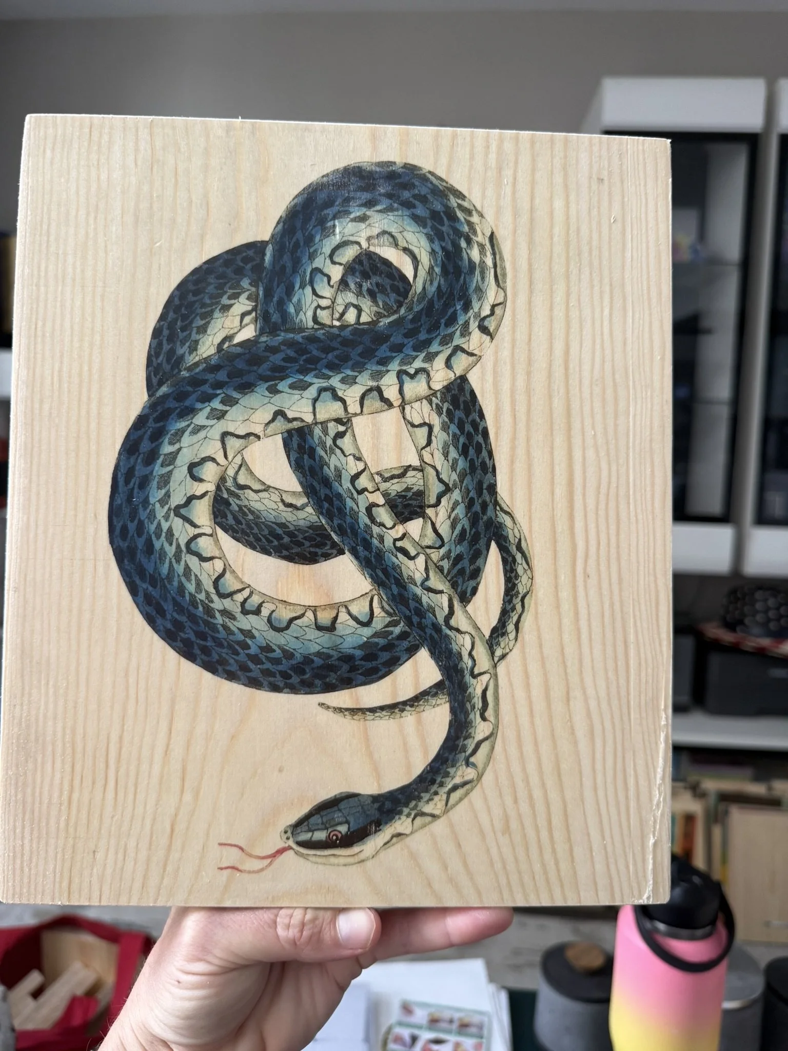KNOTTED