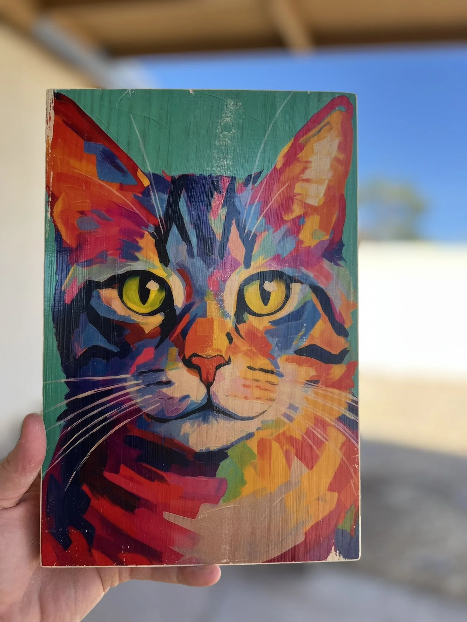 TECHNICOLOR CAT