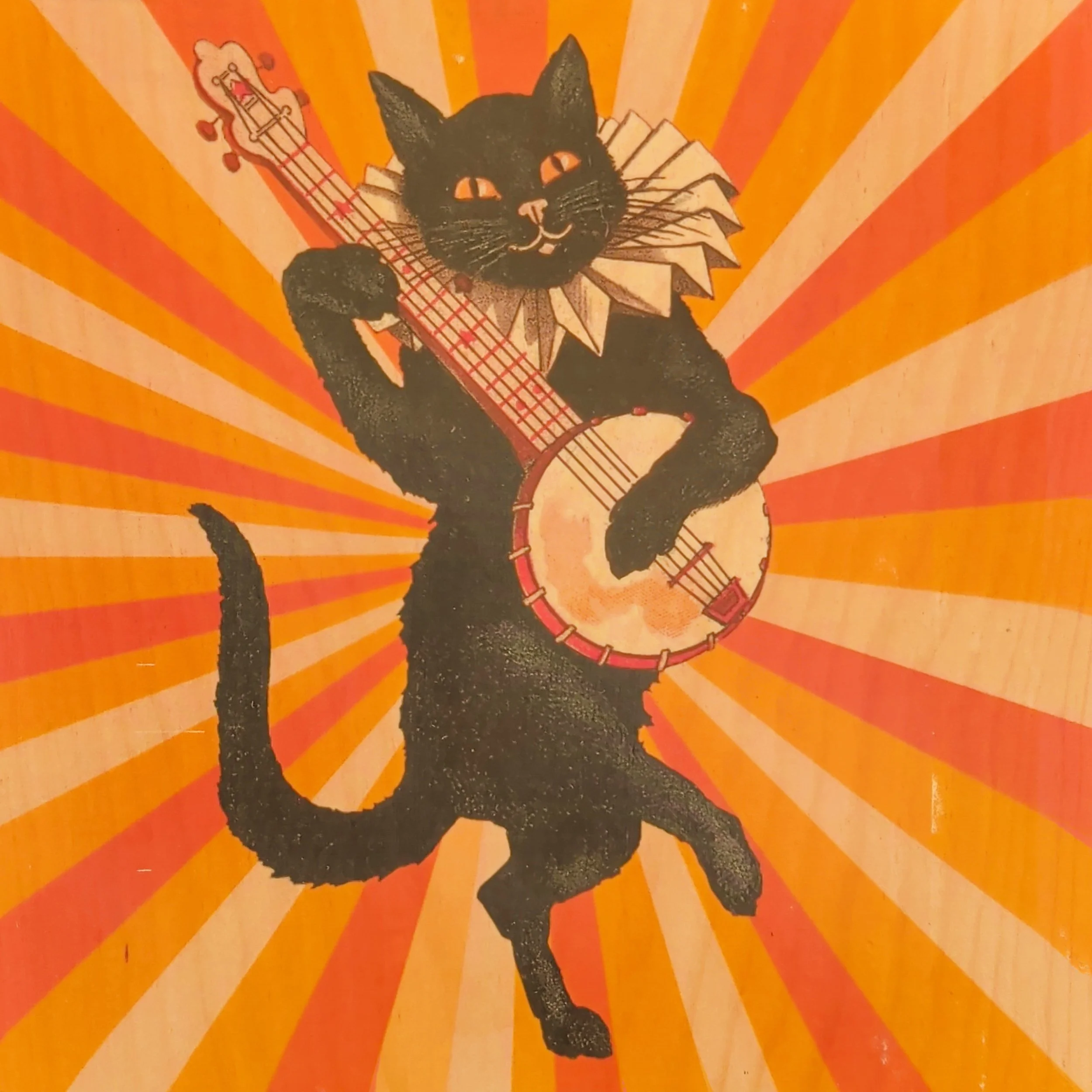 BANJO CAT