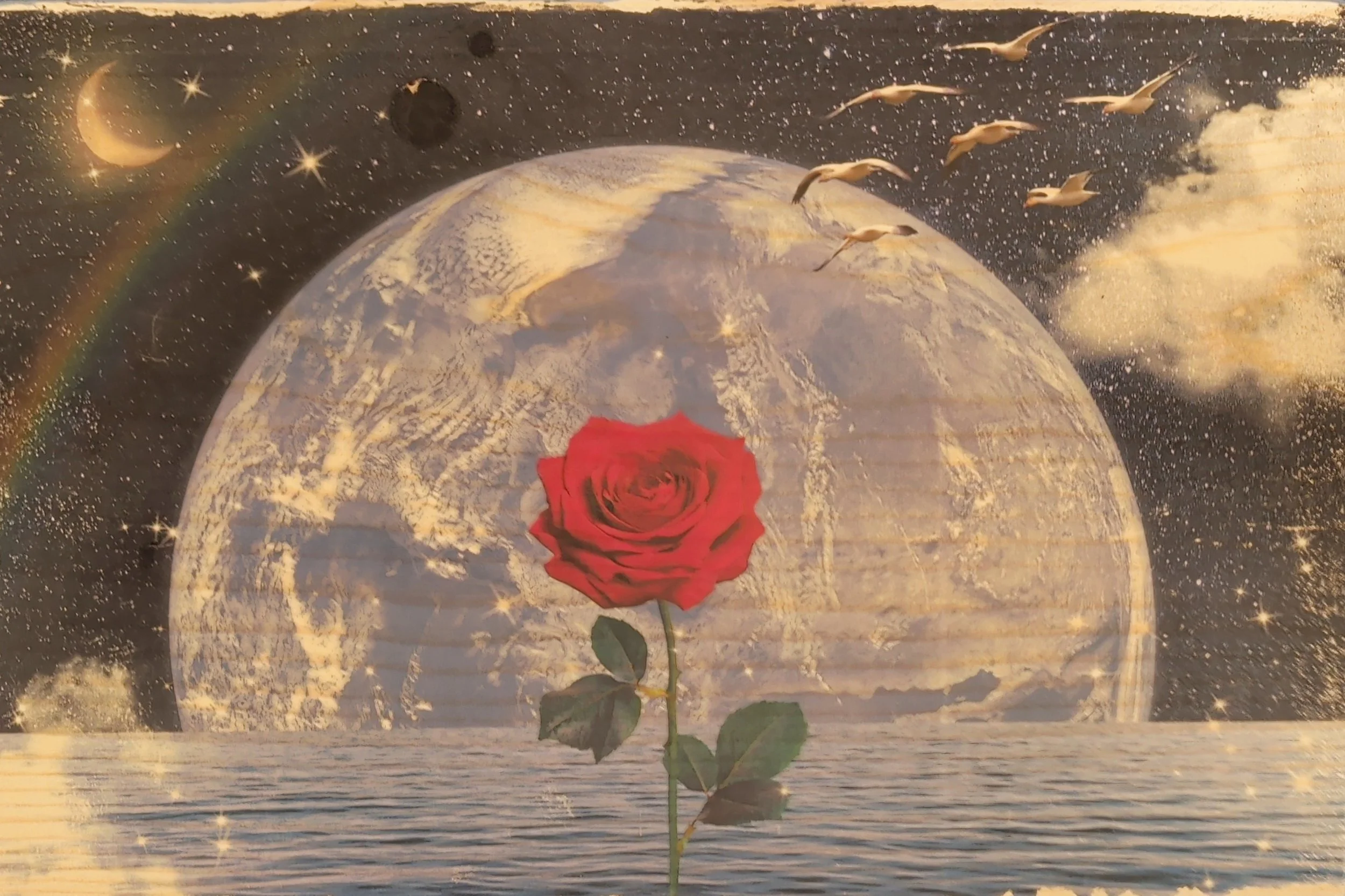 MOON ROSE