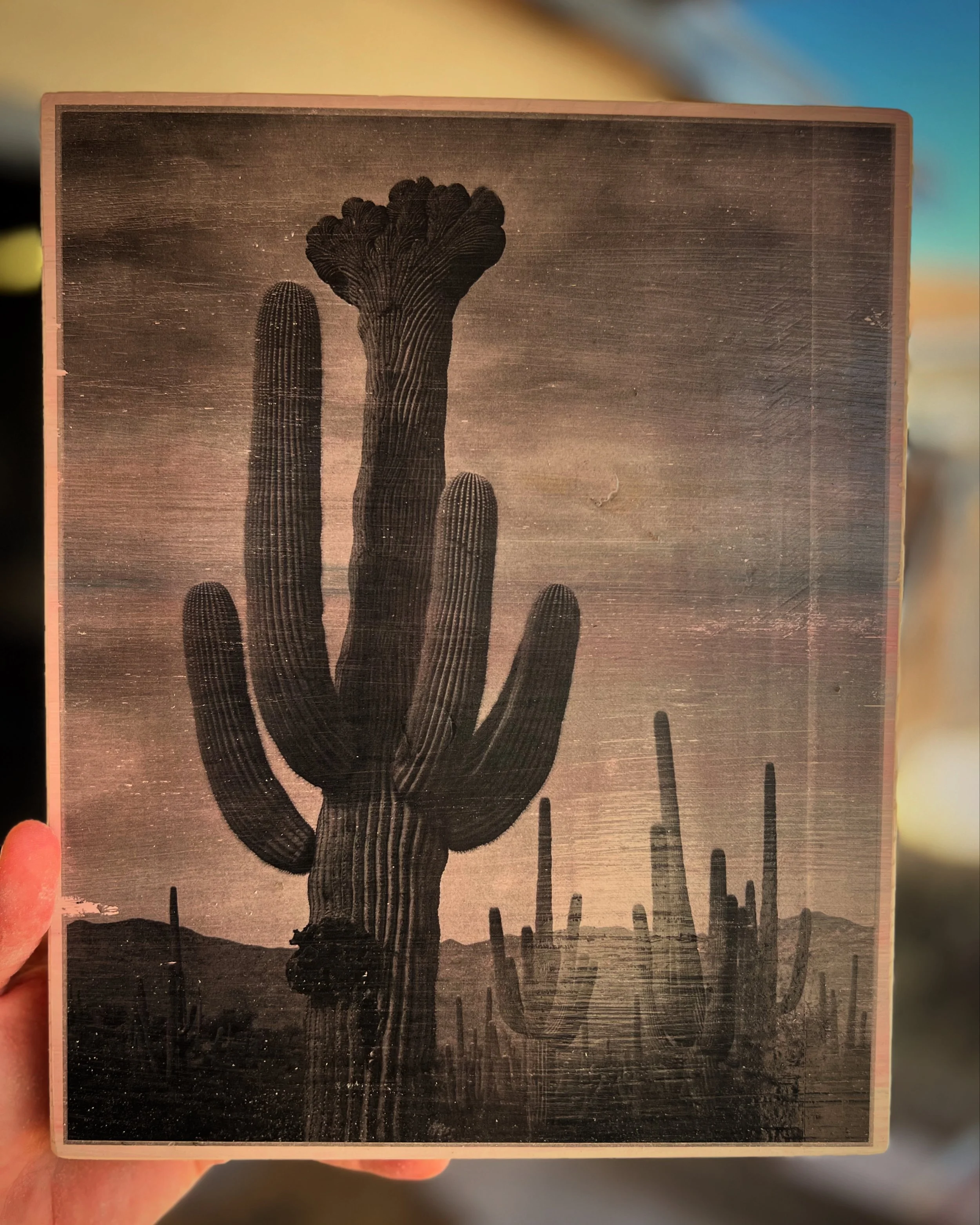 DESERT SENTINEL