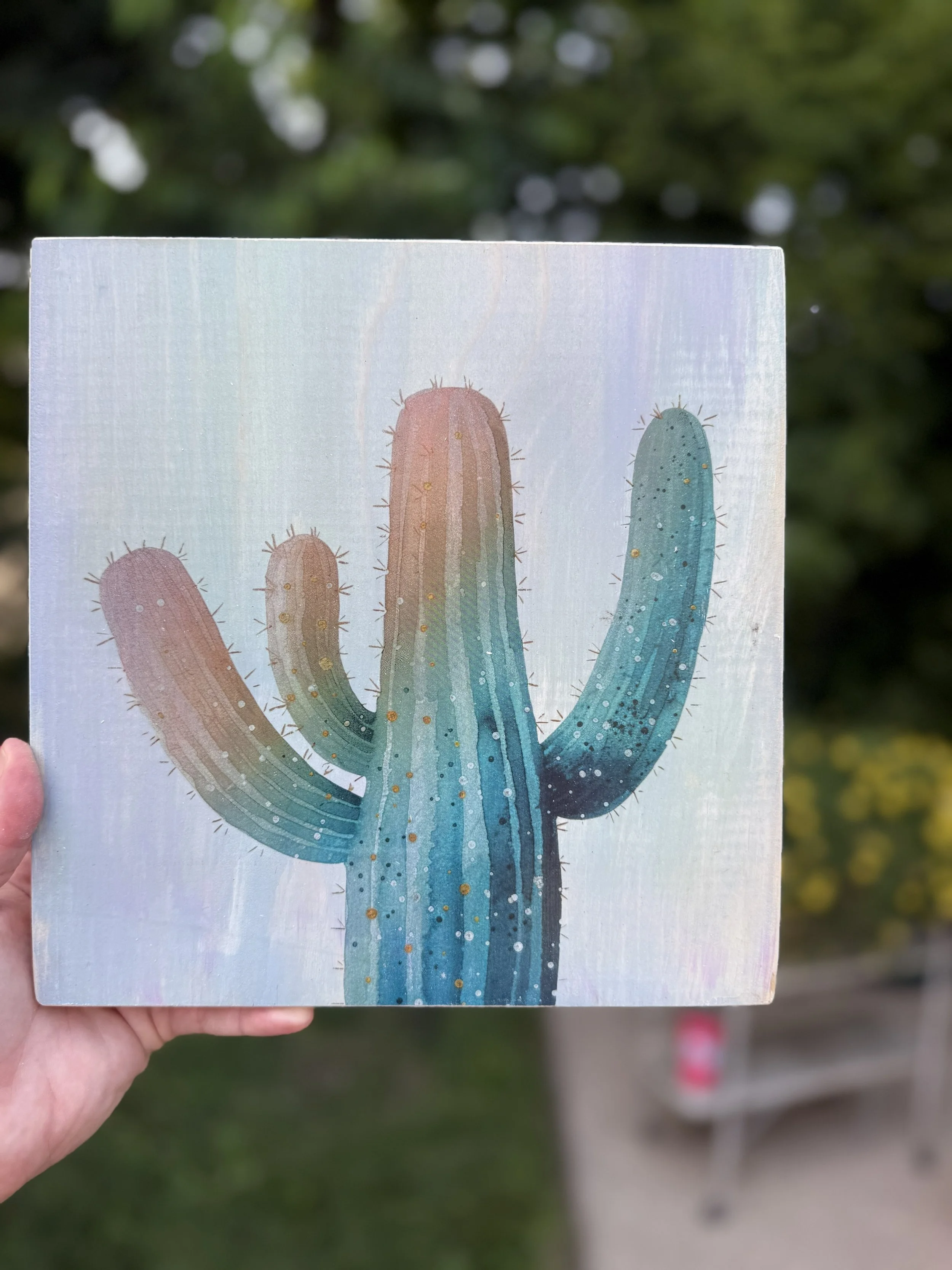 RAINBOW CACTUS