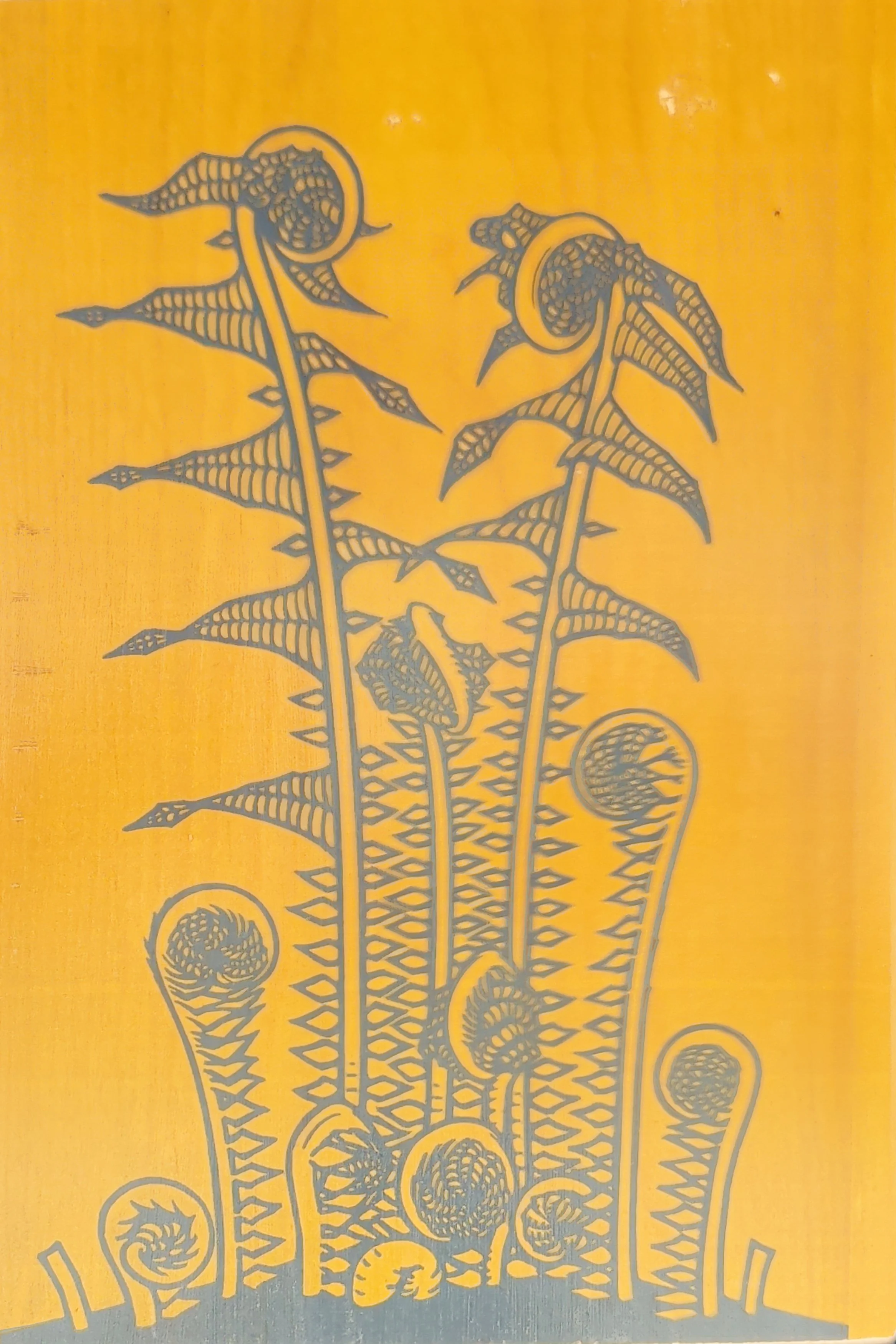 FERN STUDY