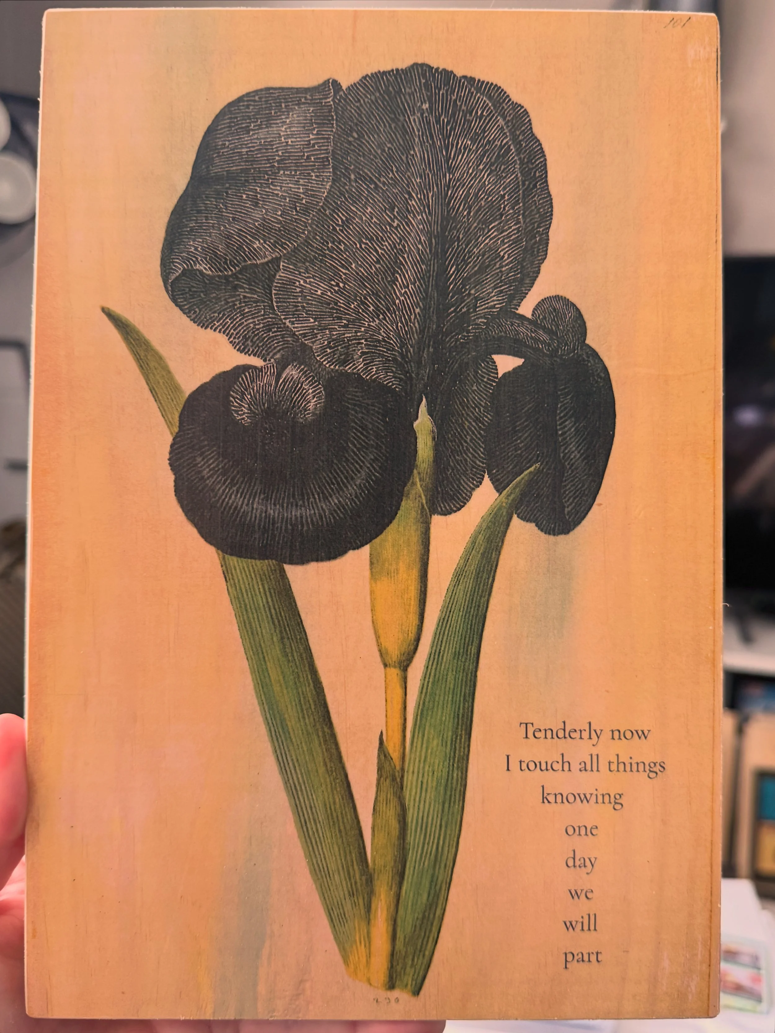 TENDERLY NOW