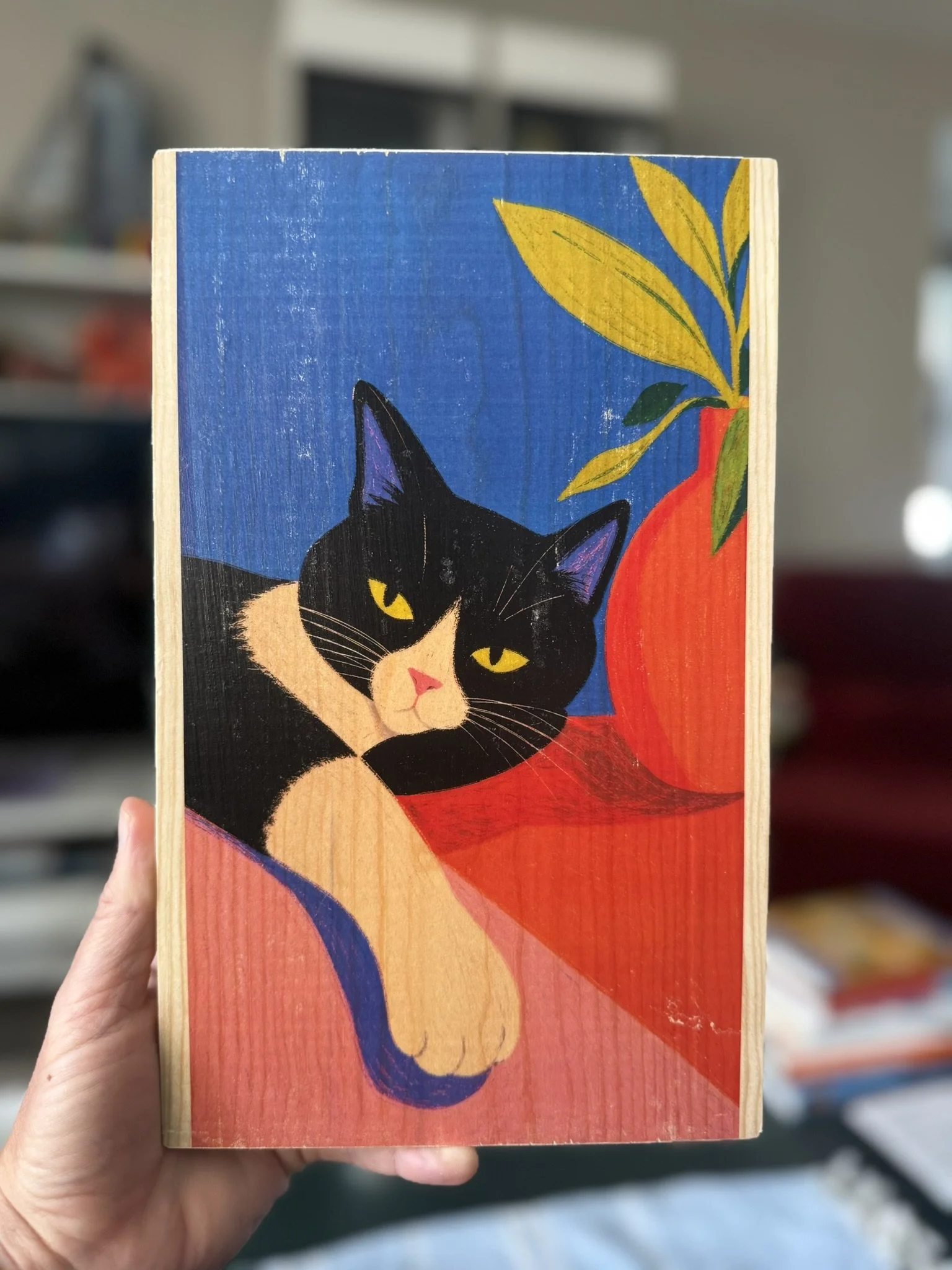 LOUNGE CAT