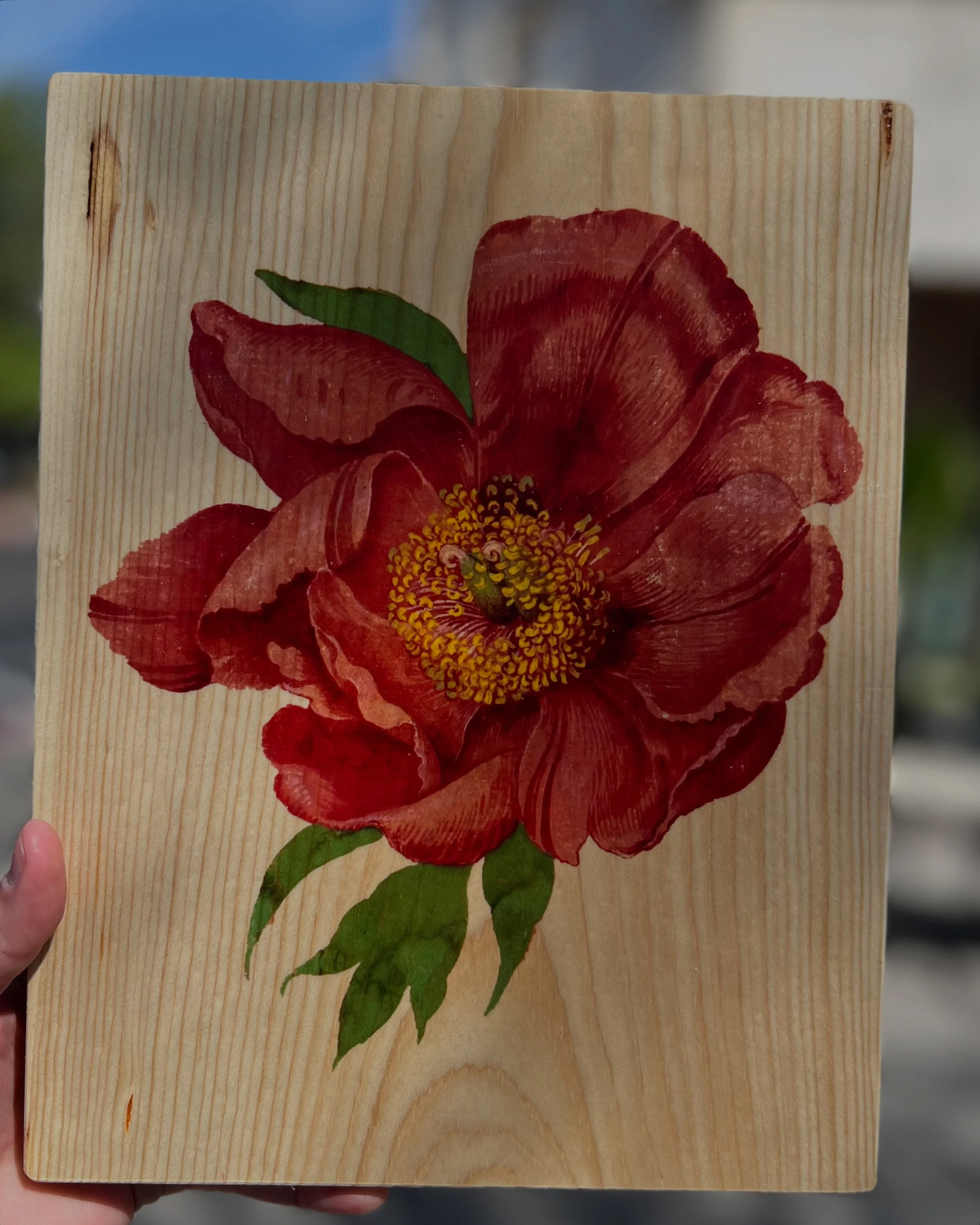CRIMSON BLOOM