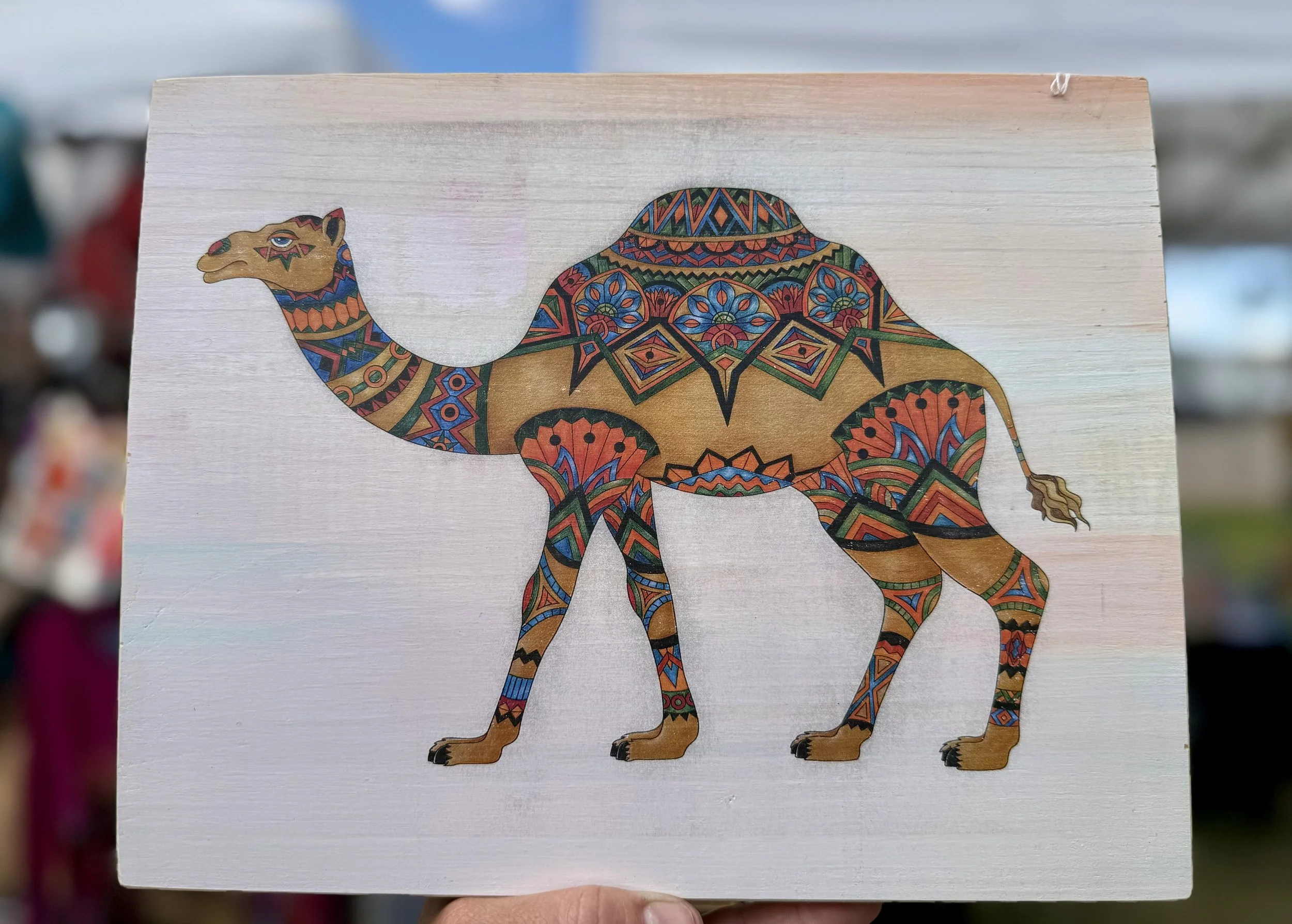 camel 1.jpeg