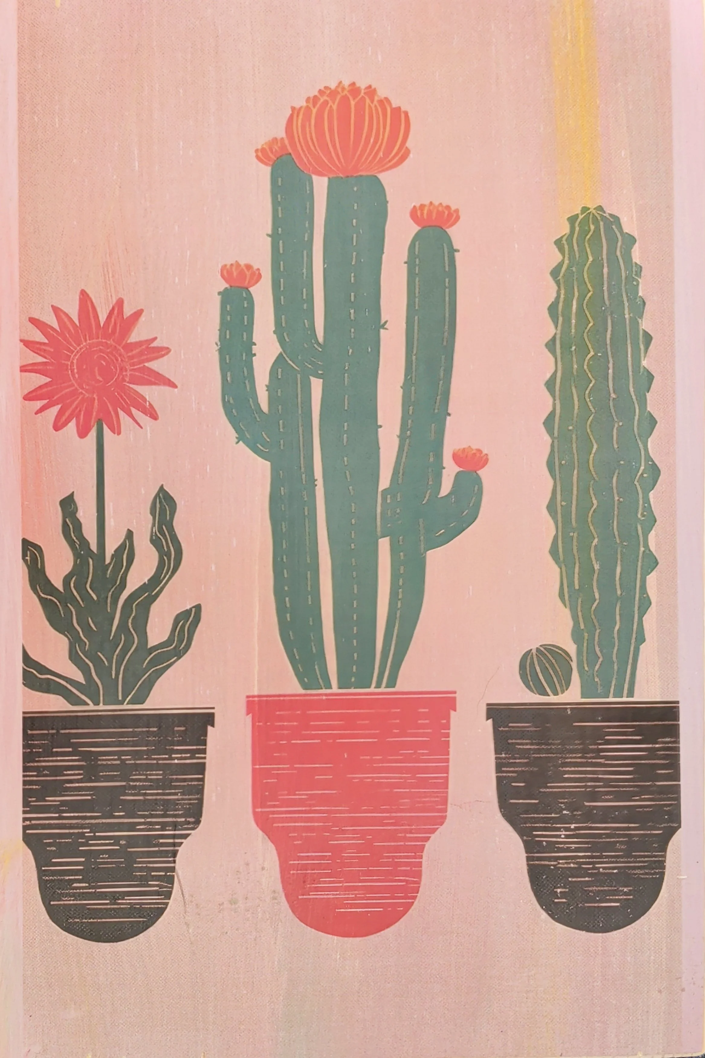 POTTED CACTUS GARDEN