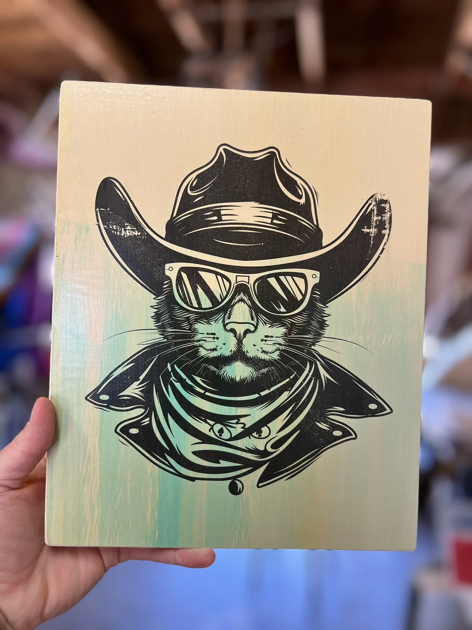 DESERT OUTLAW