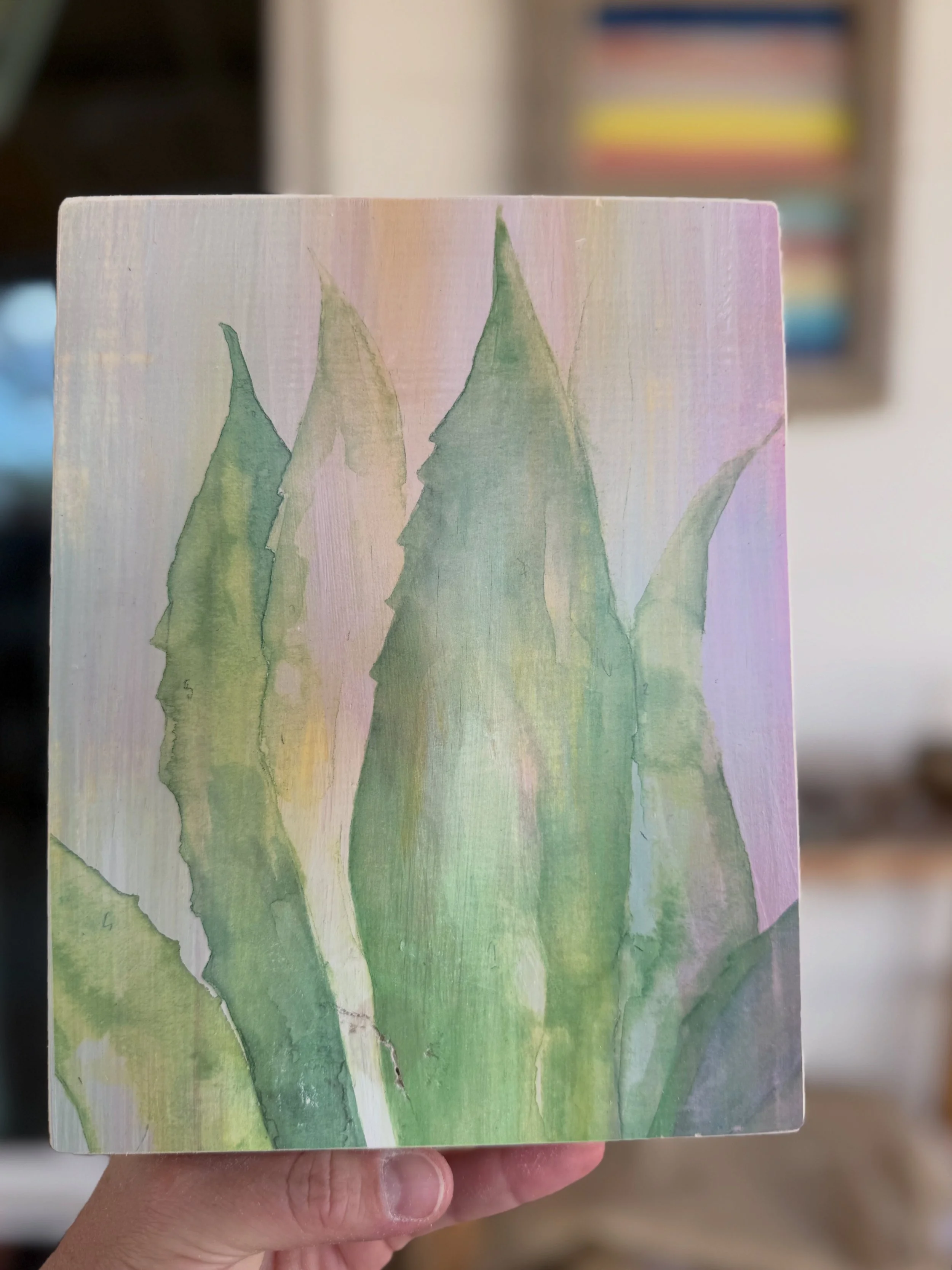 DESERT AGAVE