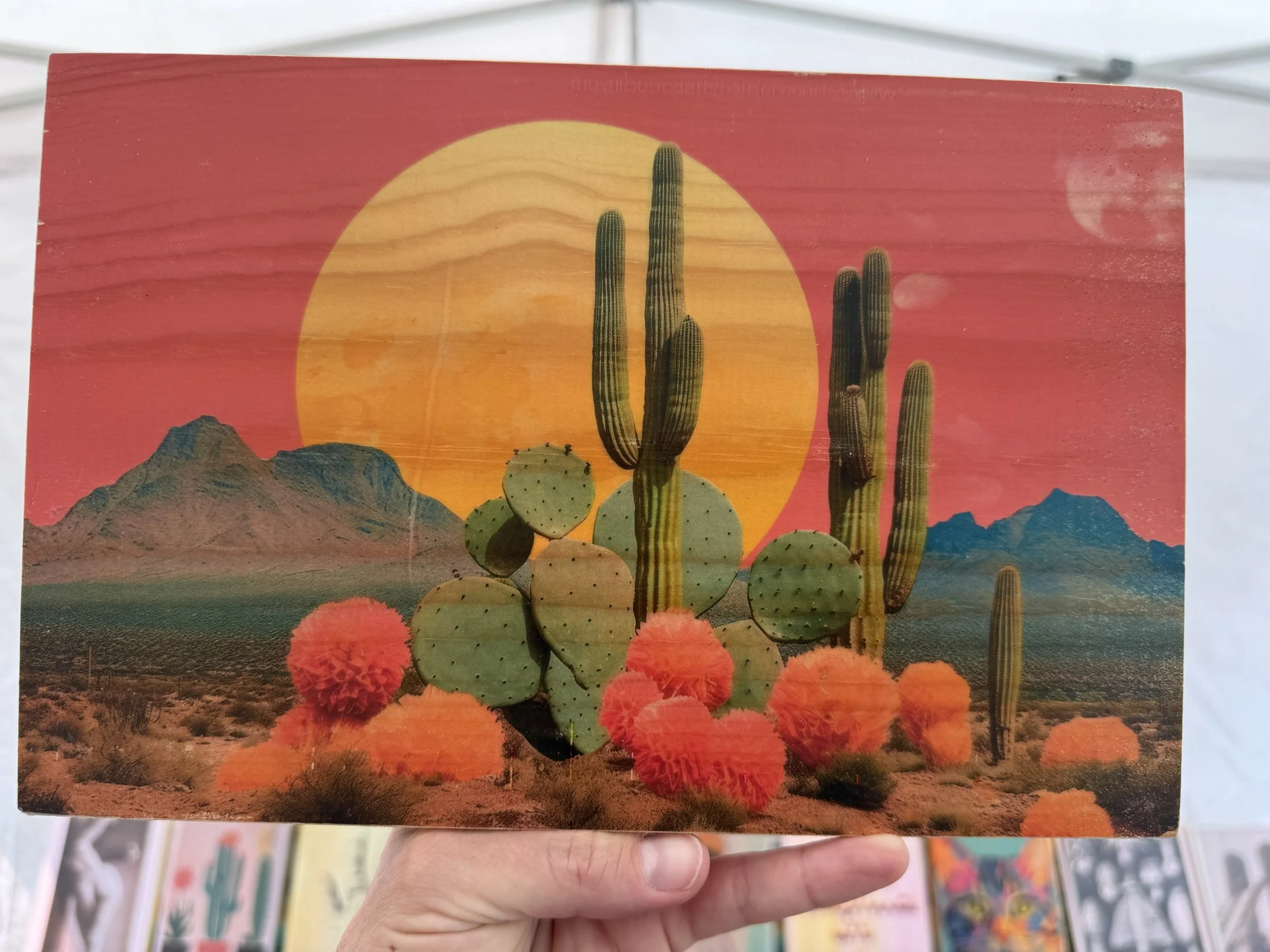 DESERT SUNSET