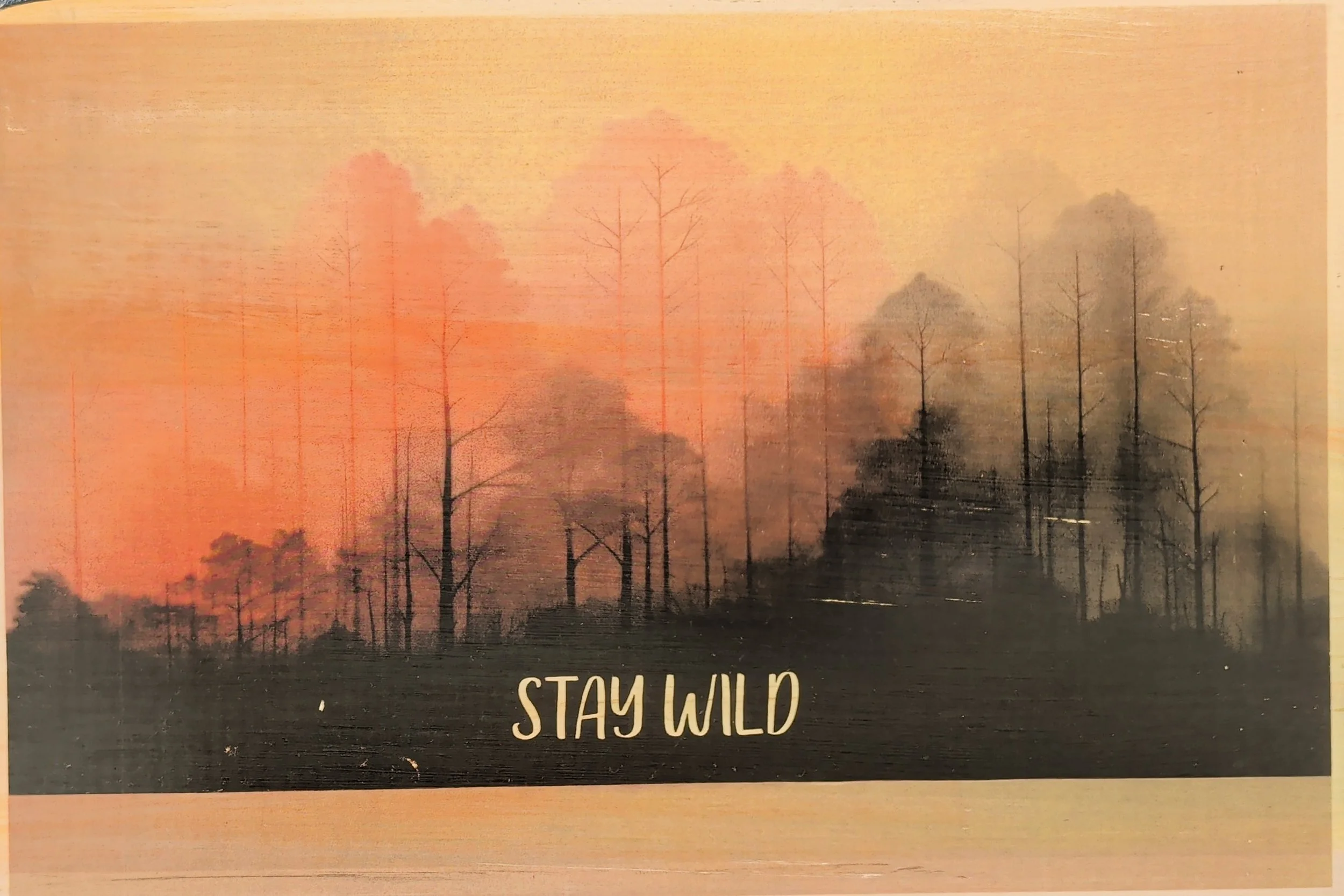 STAY WILD