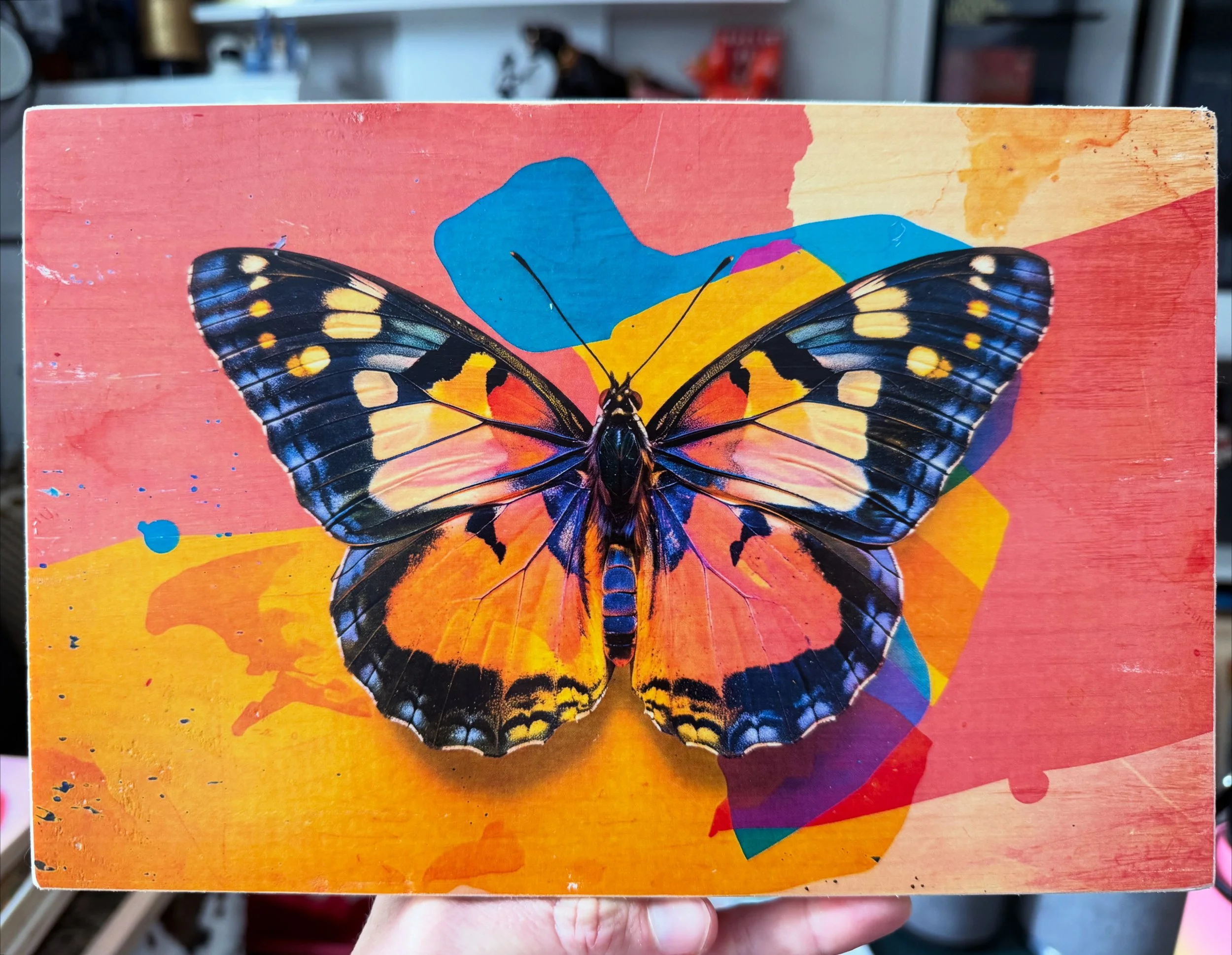 KALEIDOSCOPE WINGS