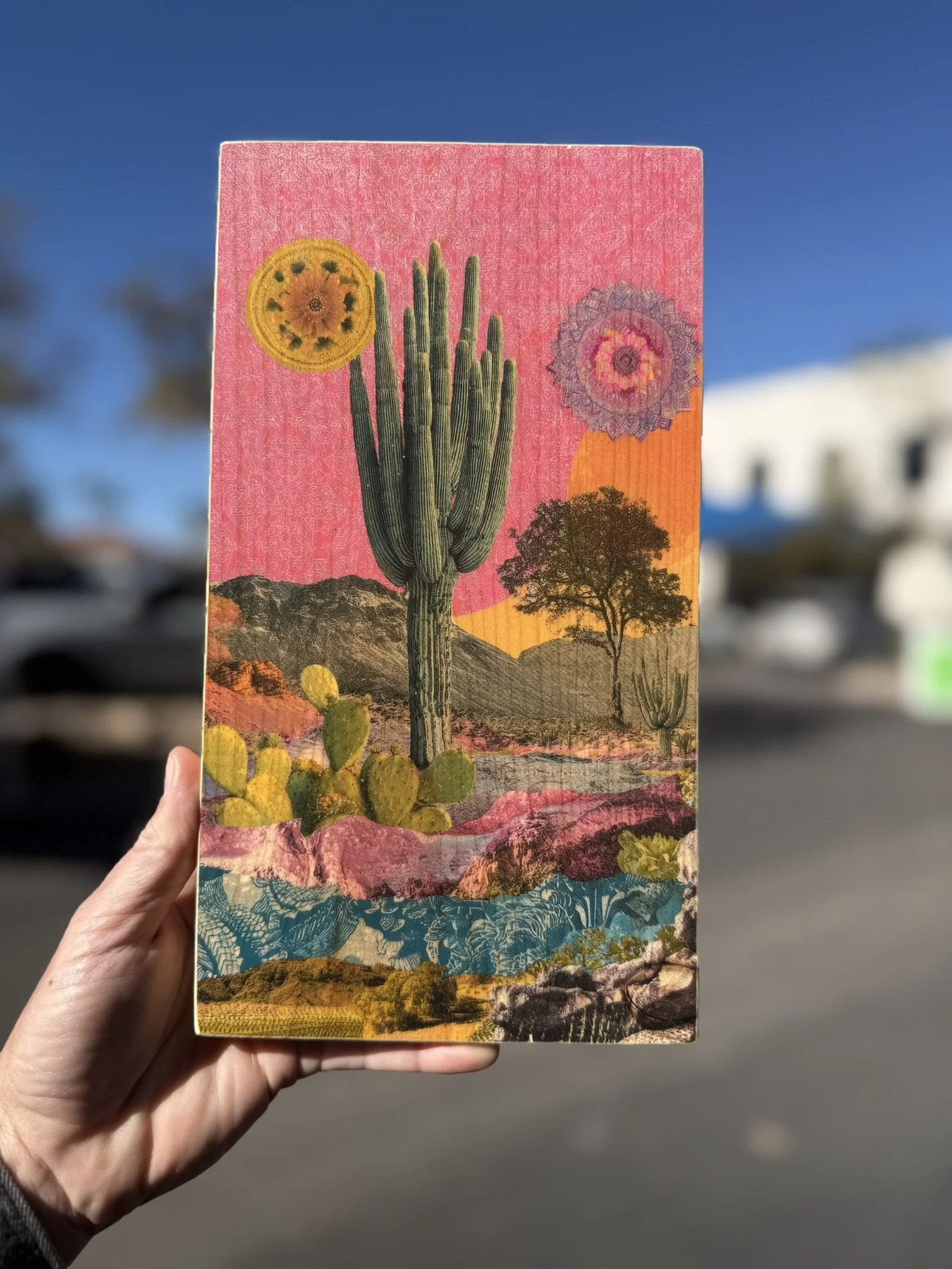 DESERT DAYDREAM