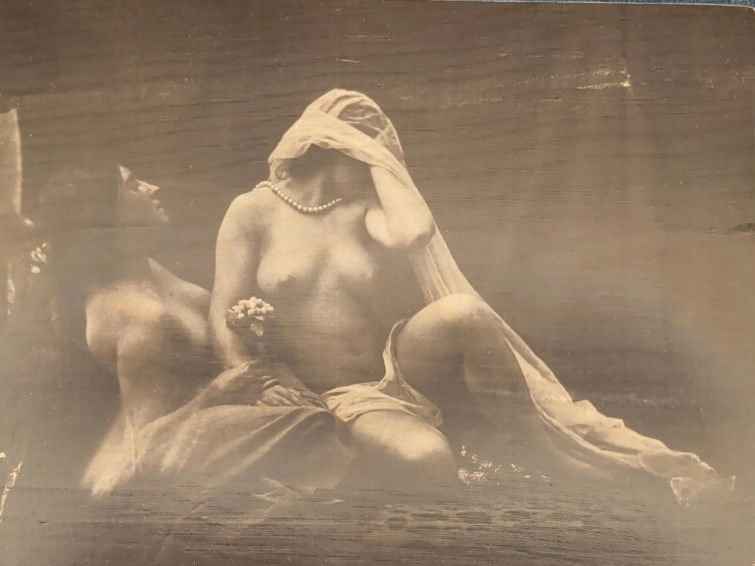 THE VEIL