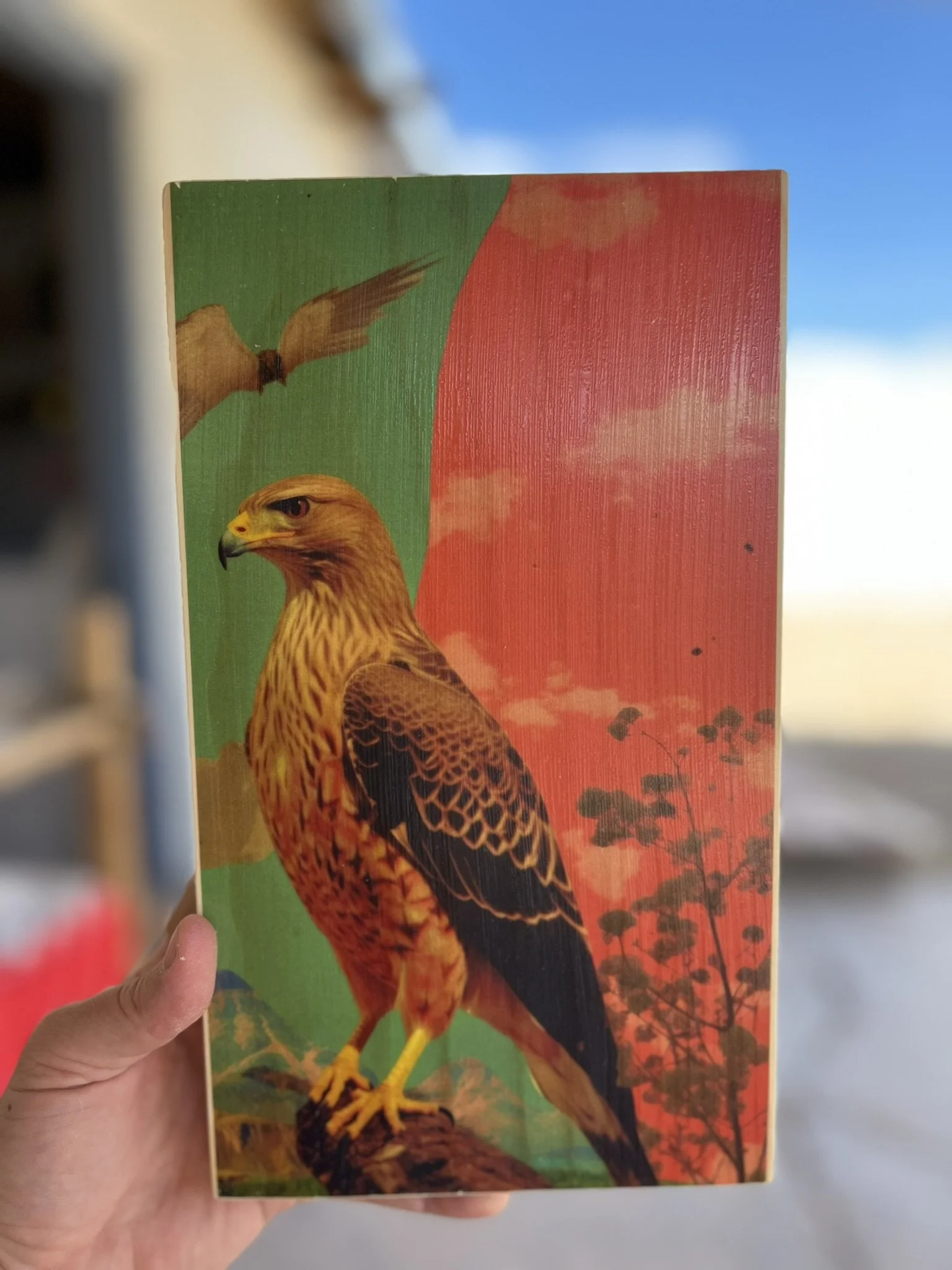 DESERT SENTINEL
