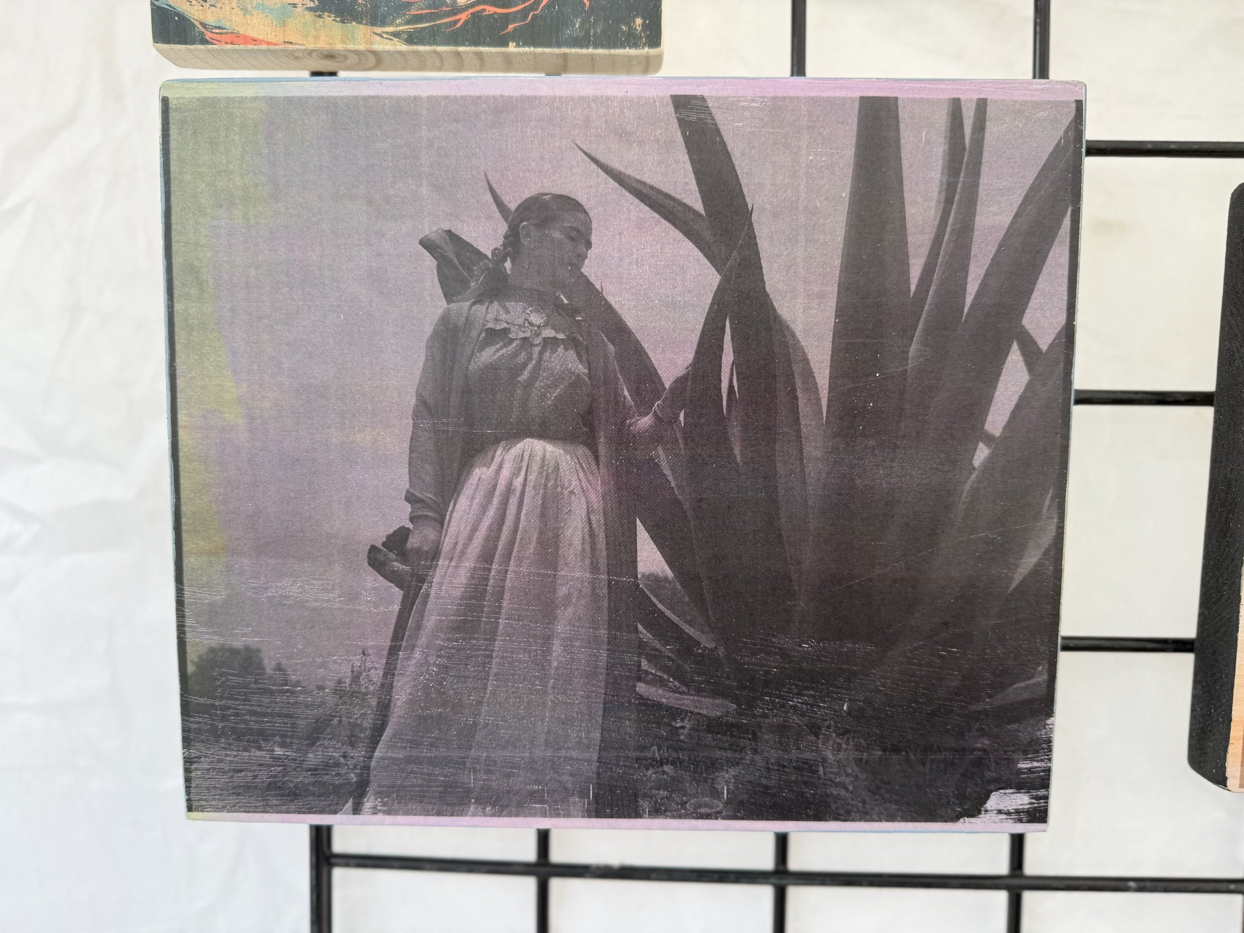 FRIDA & MAGUEY