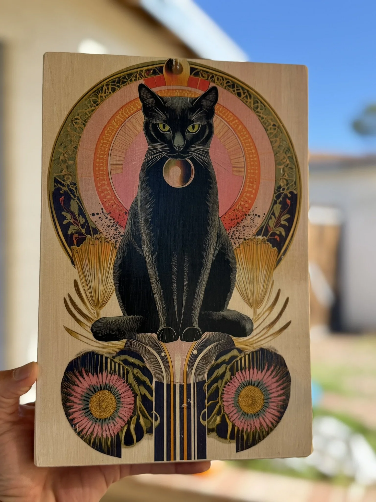 CELESTIAL CAT